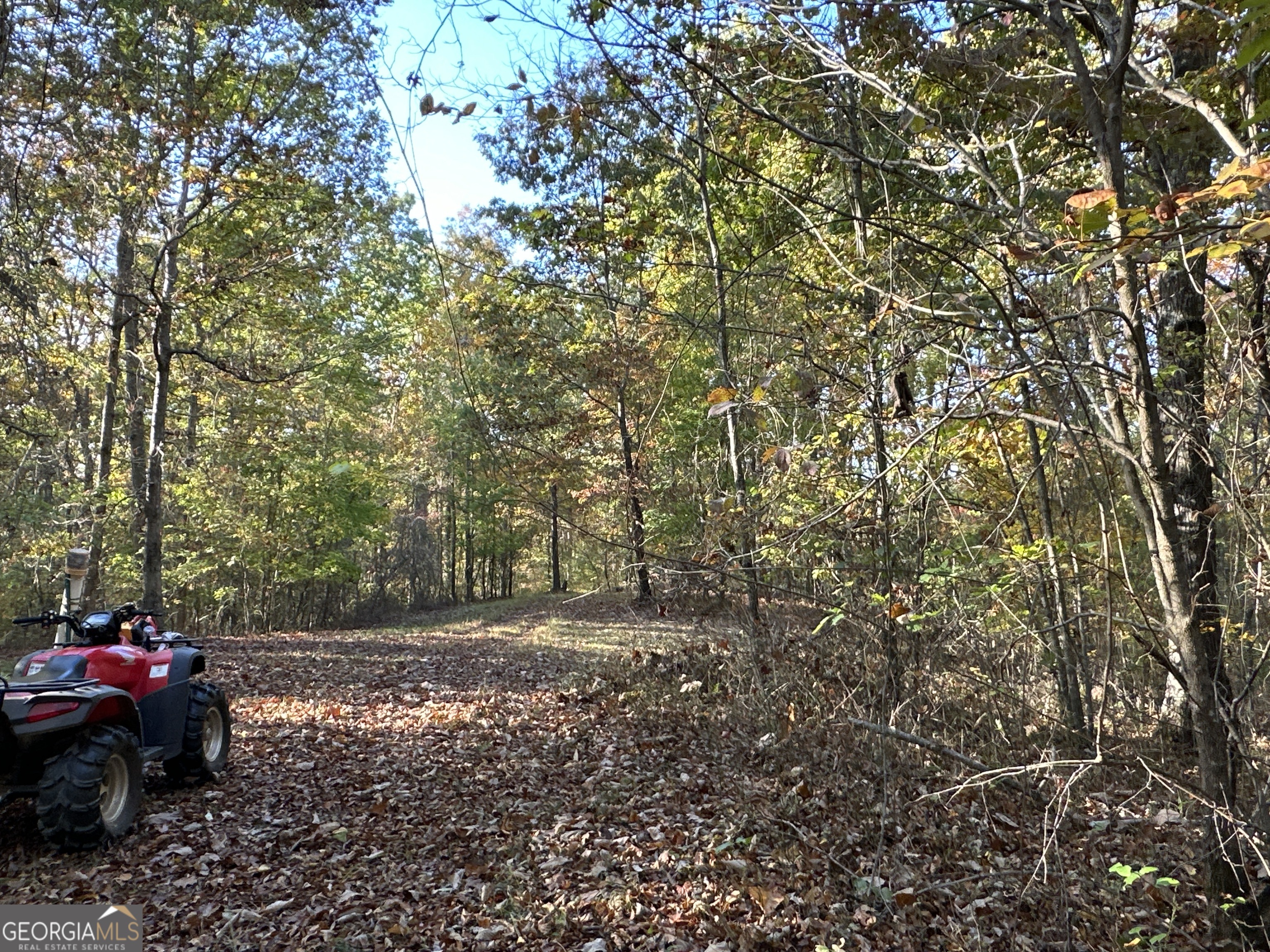 1806 Browning Road Property Photo 49
