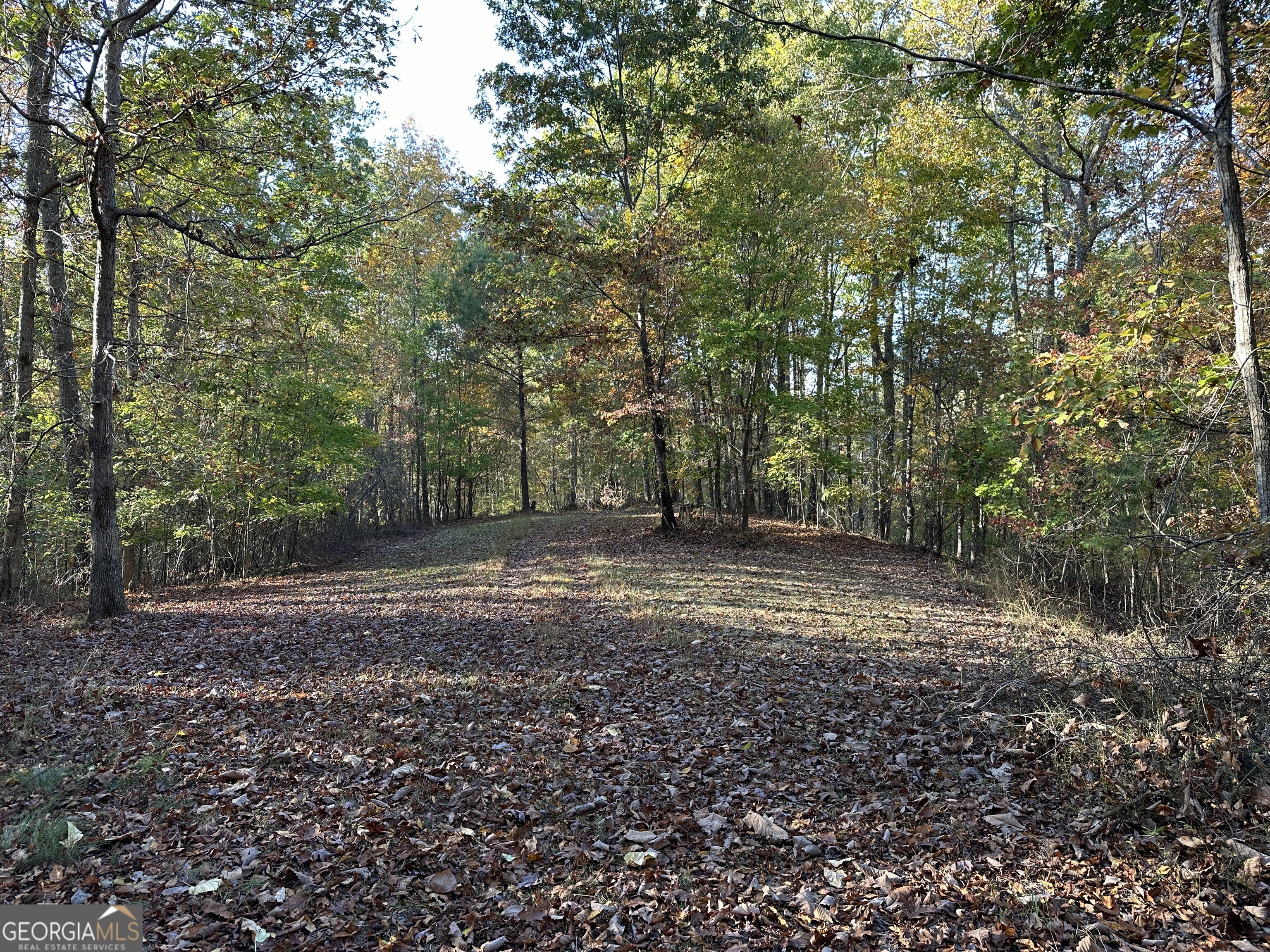 1806 Browning Road Property Photo 50