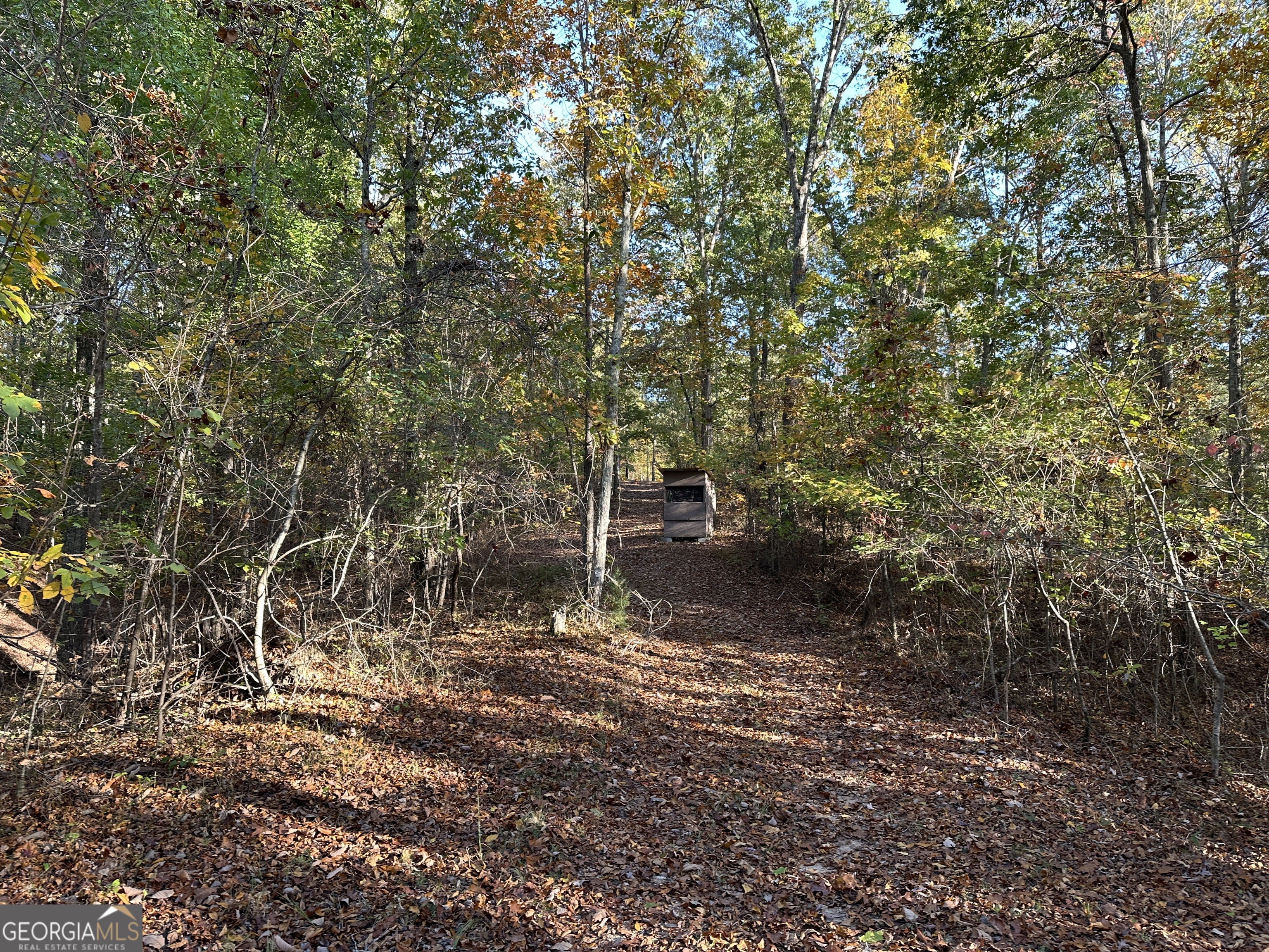 1806 Browning Road Property Photo 51