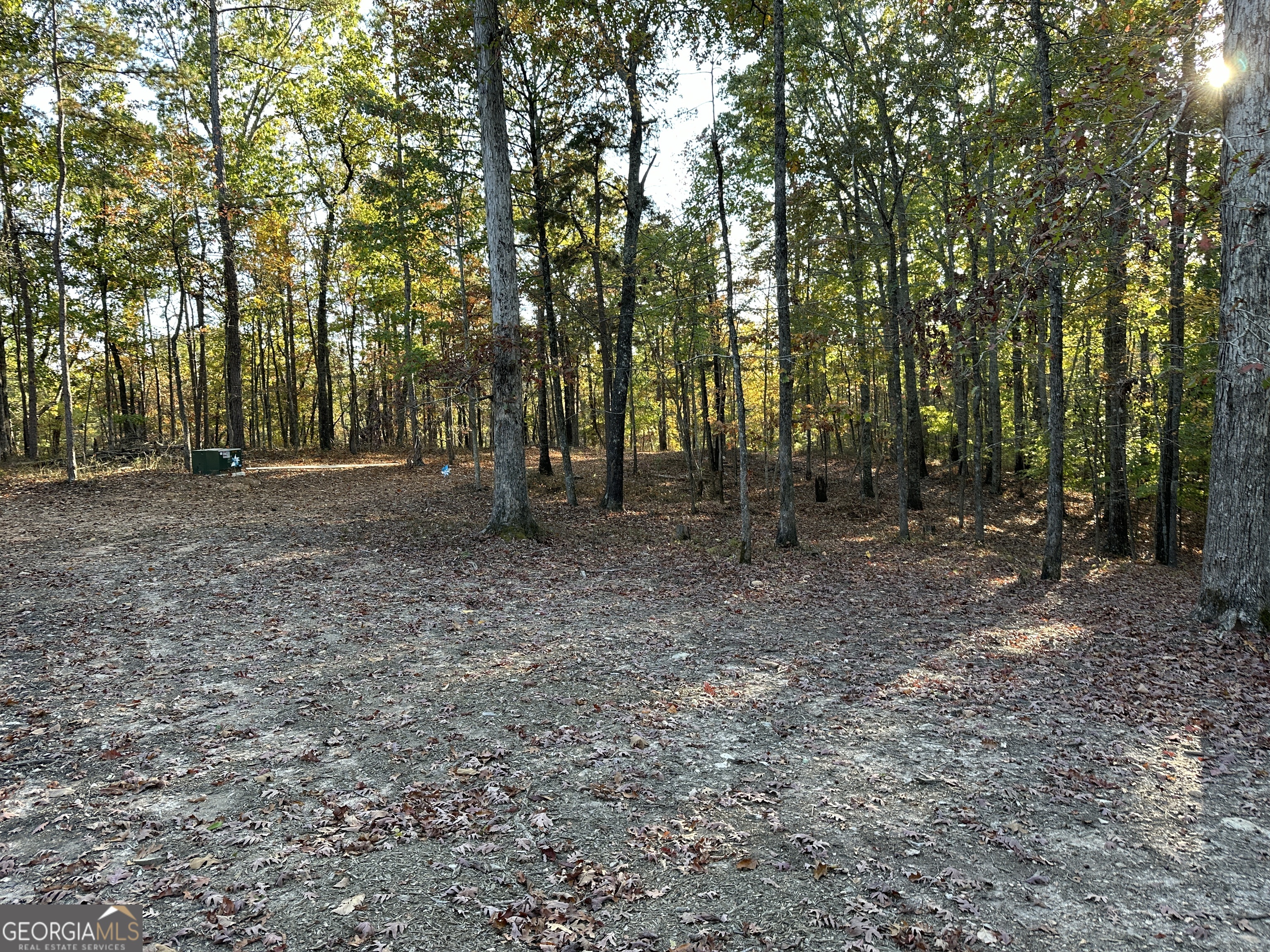 1806 Browning Road Property Photo 57