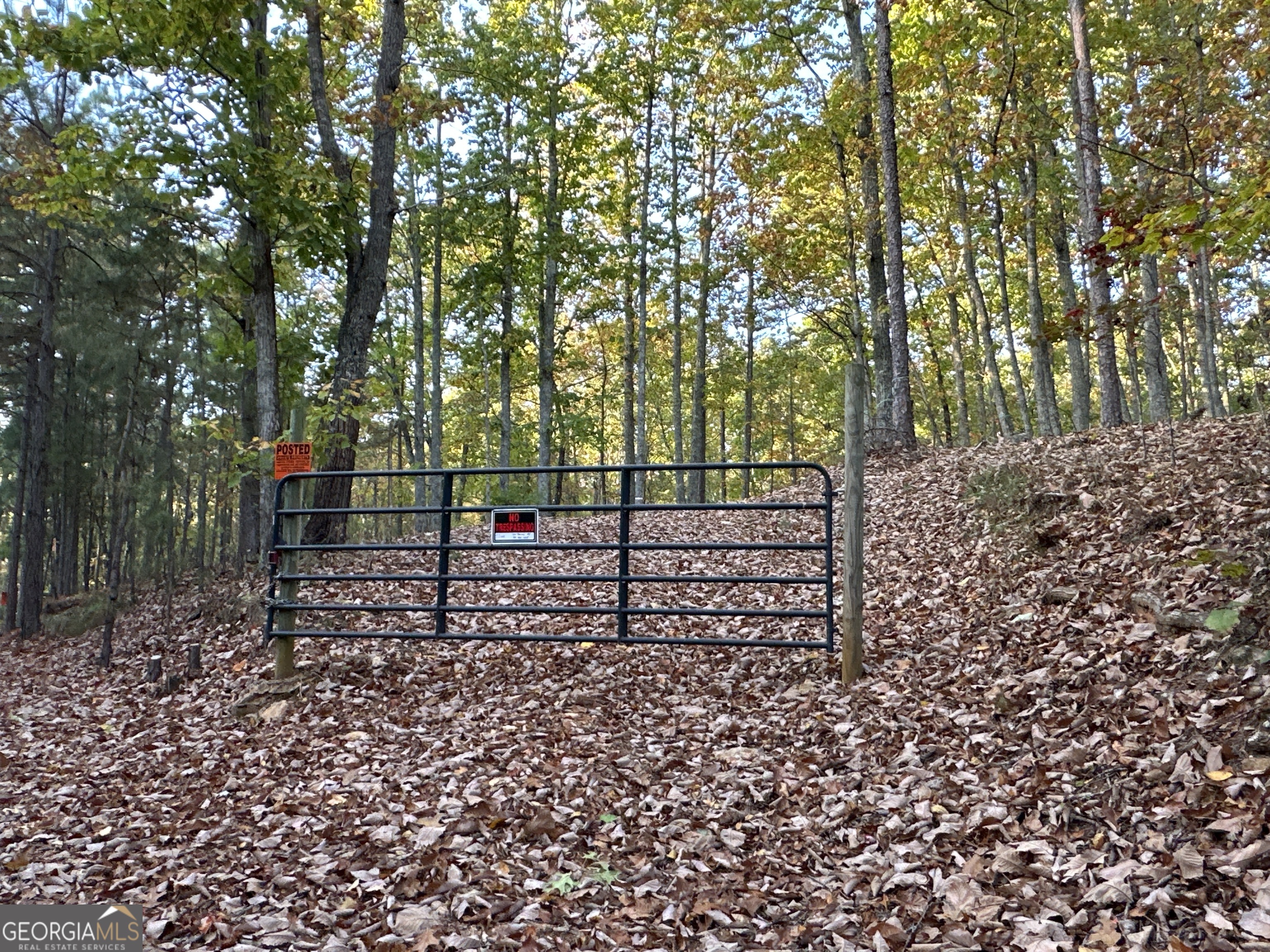 1806 Browning Road Property Photo 75