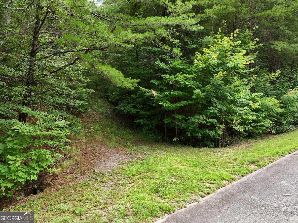 Lot 5 East Ridge Lane Property Photo 1