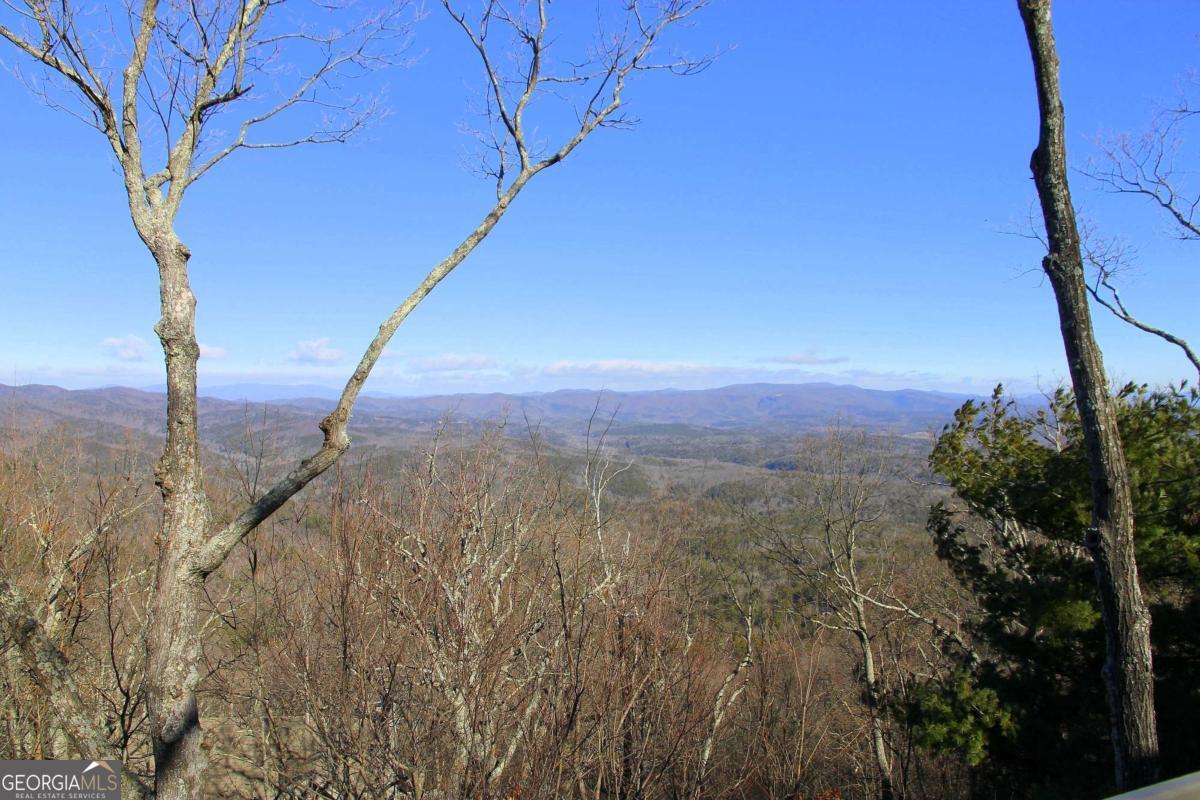5573 Red Fox Drive Property Photo 12