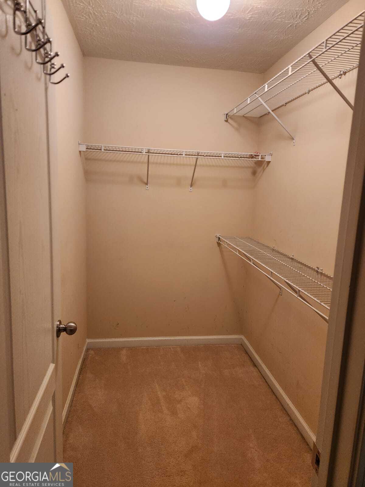 35 Carlisle Court Property Photo 8