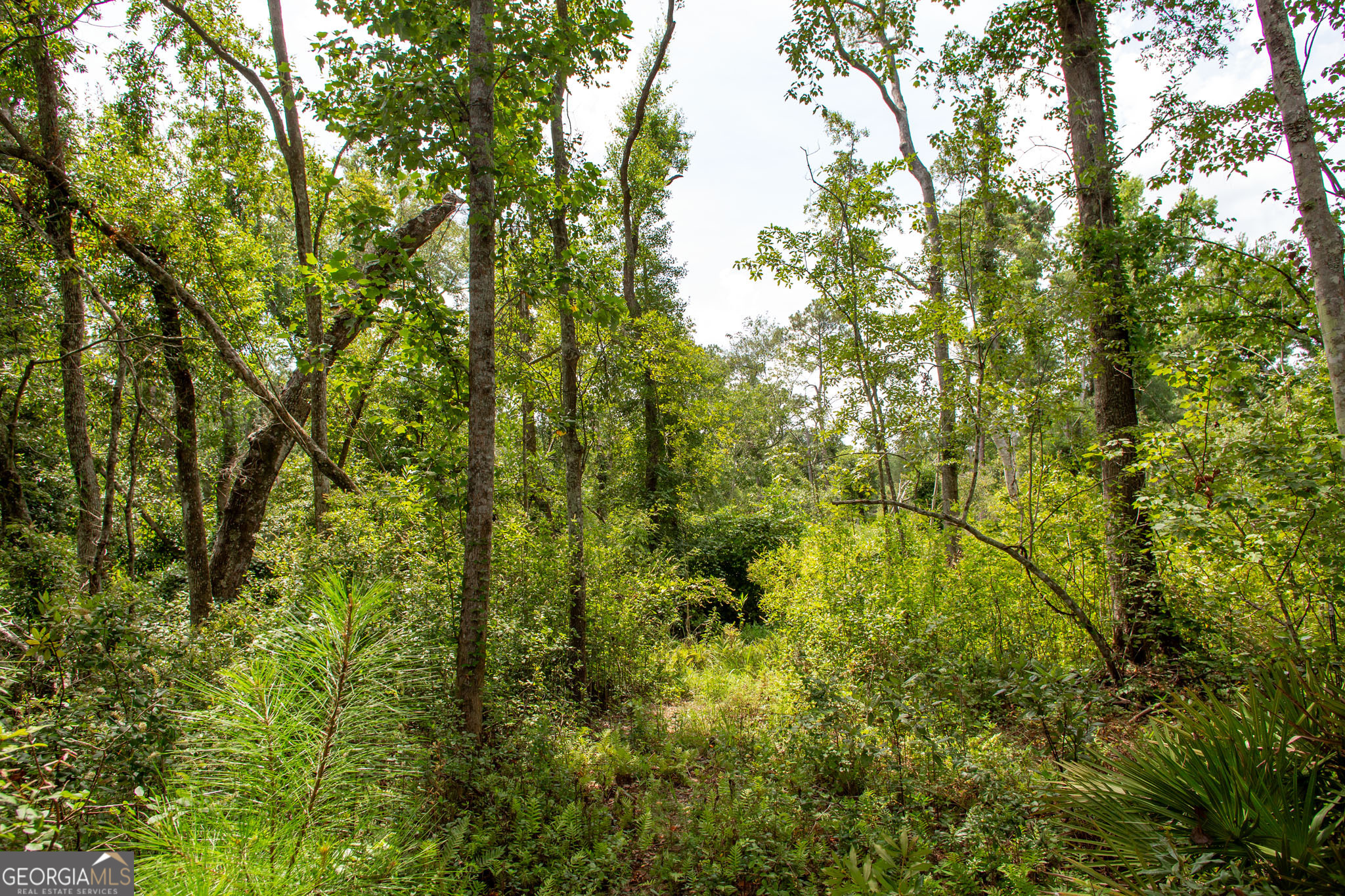2512 Beulah Church Road Property Photo 29