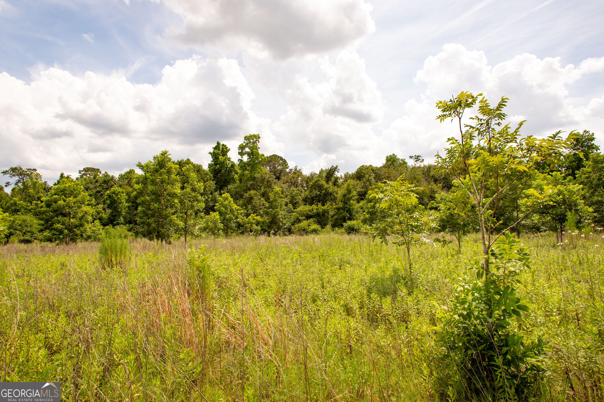 2512 Beulah Church Road Property Photo 37