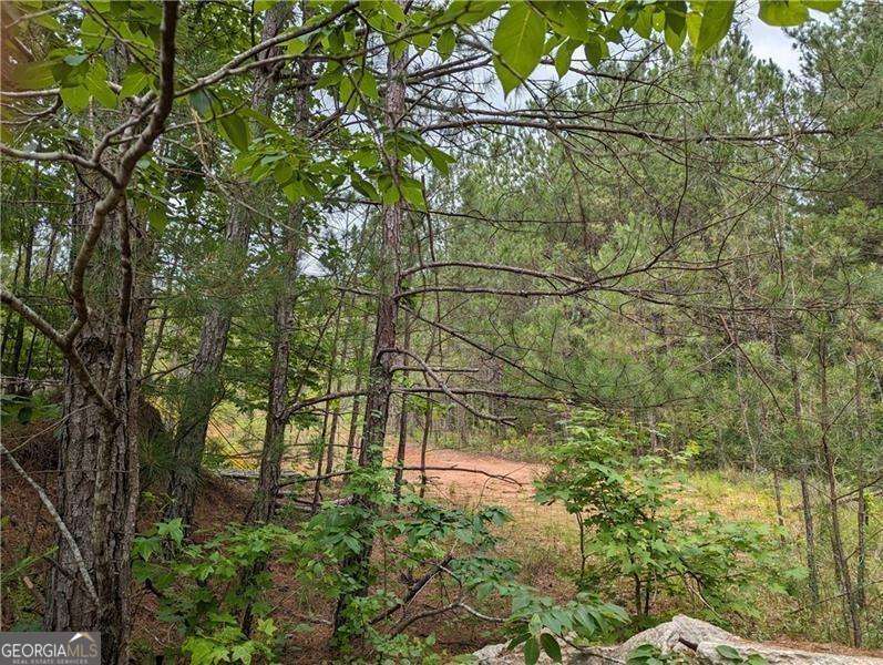 7900 Downs Road Property Photo 1