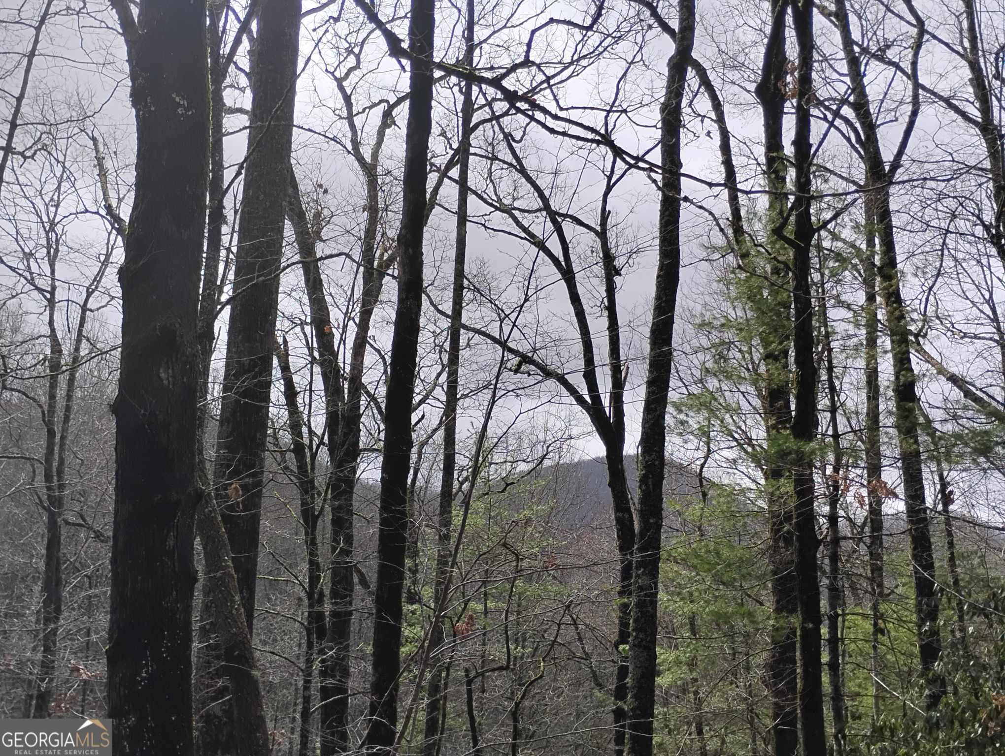0 Lot 289 Cobblewood Trail Property Photo 1