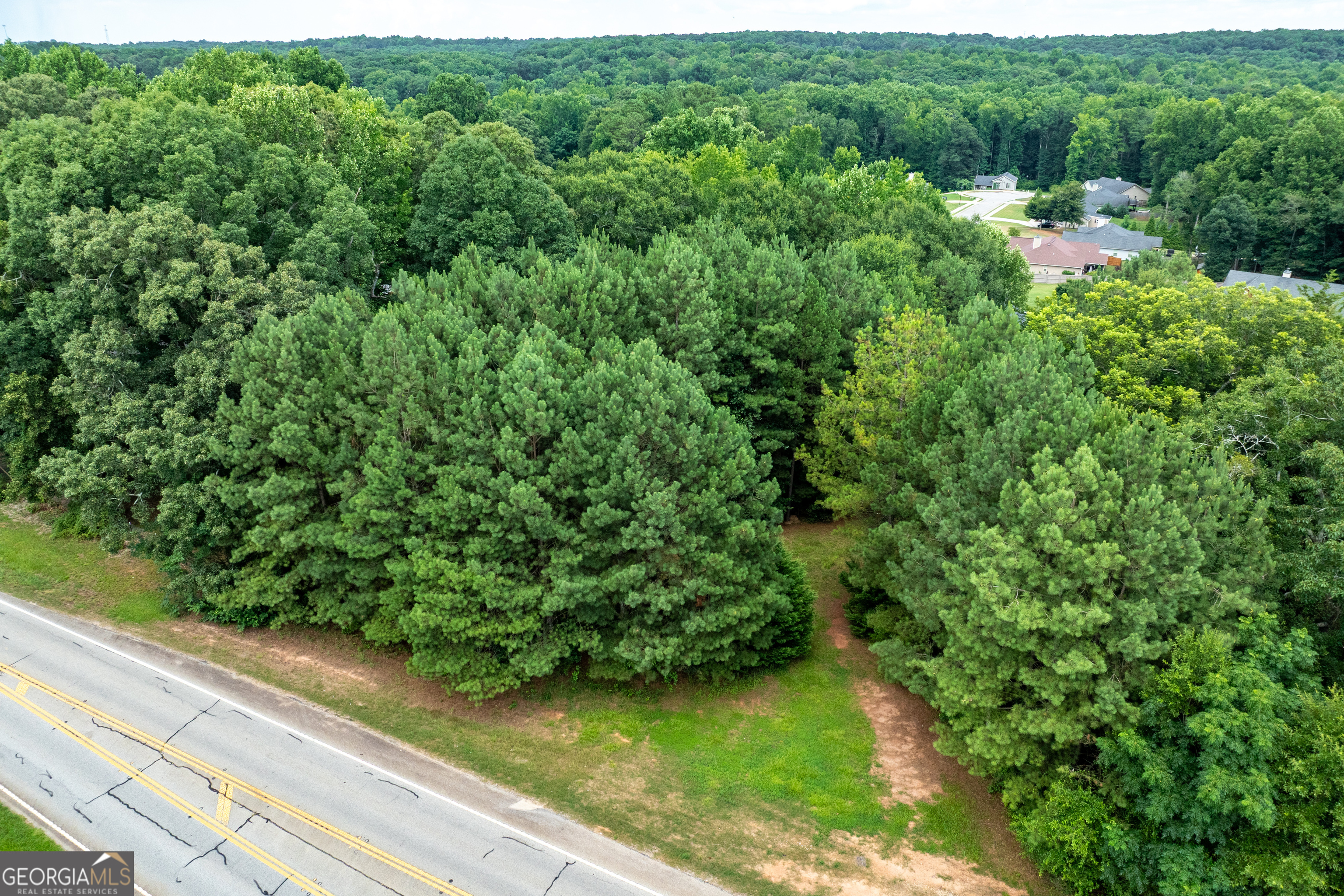 281 Petal Creek Lane Property Photo 44