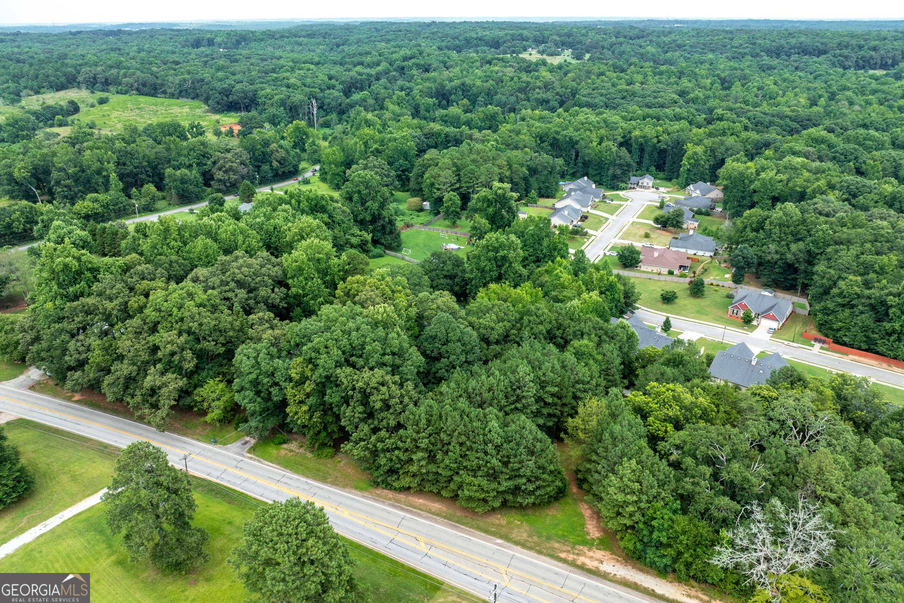 281 Petal Creek Lane Property Photo 46