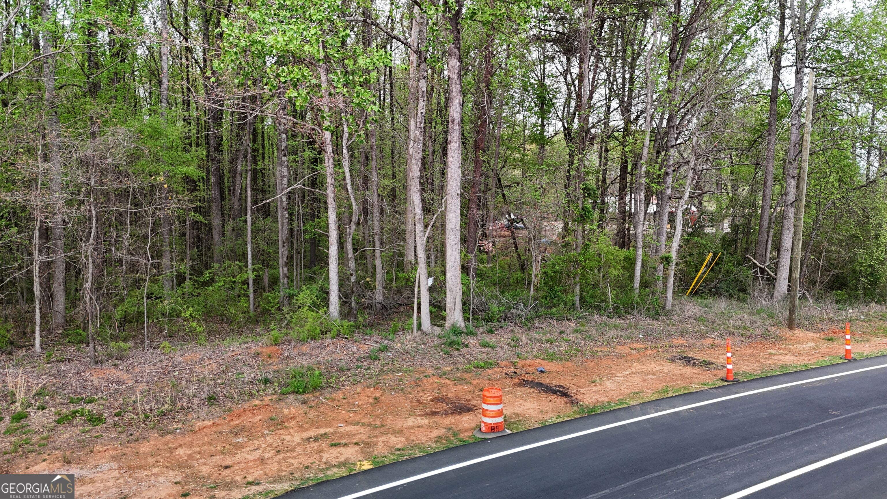 0 Burruss Mill Road Property Photo 18