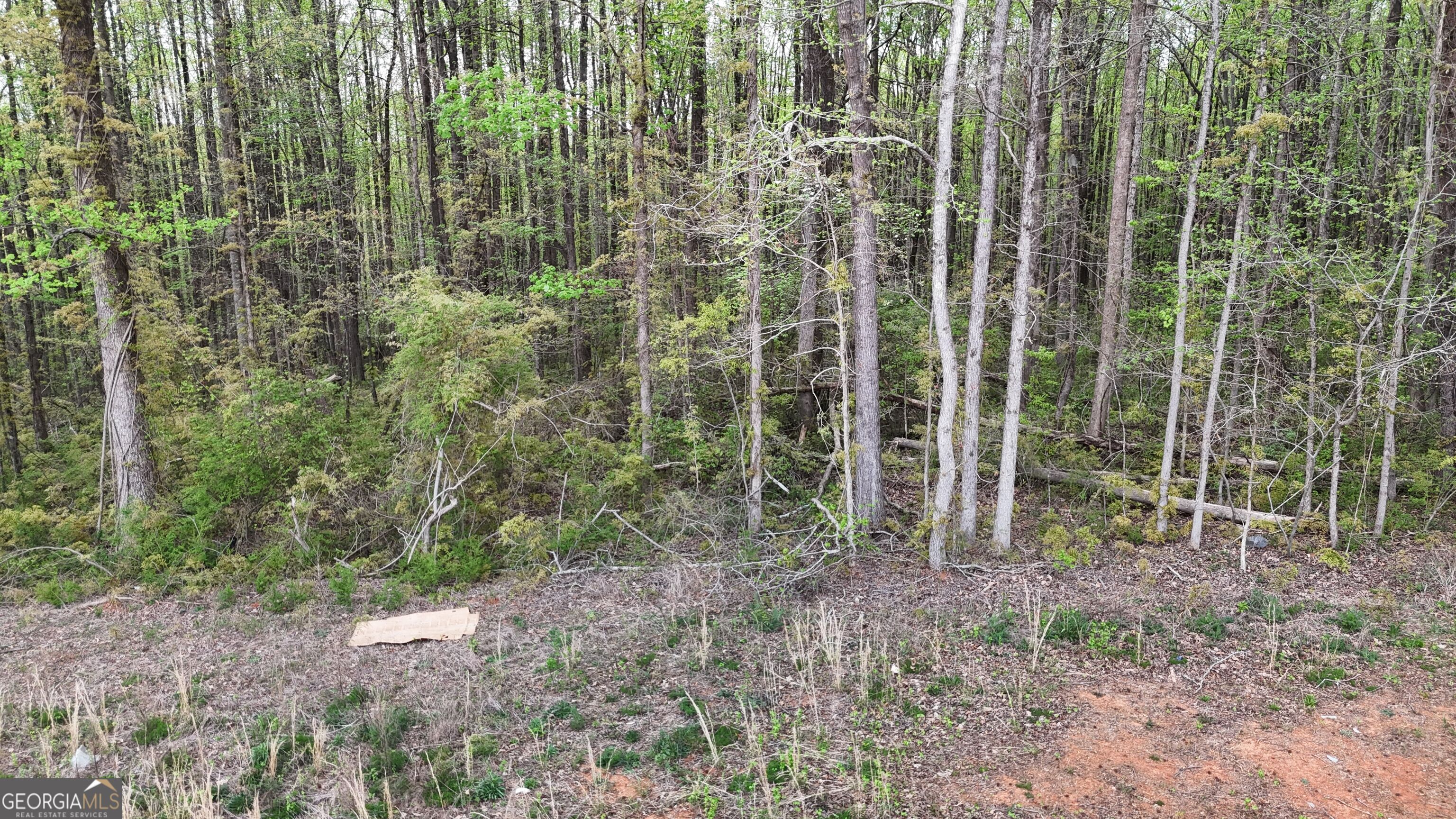 0 Burruss Mill Road Property Photo 21