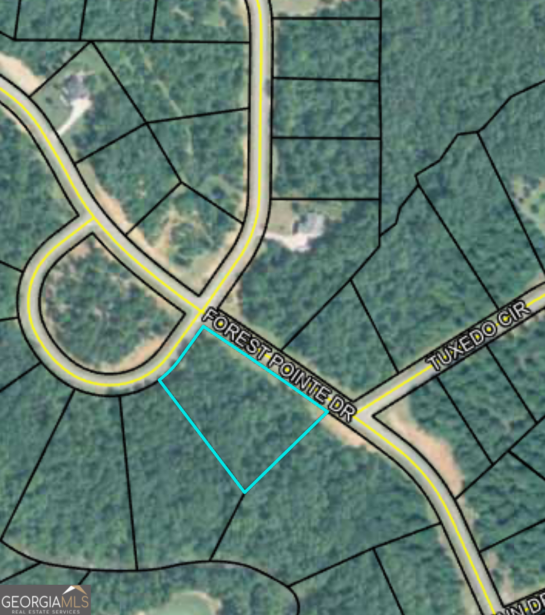 207 Forest Pointe Drive Property Photo 1