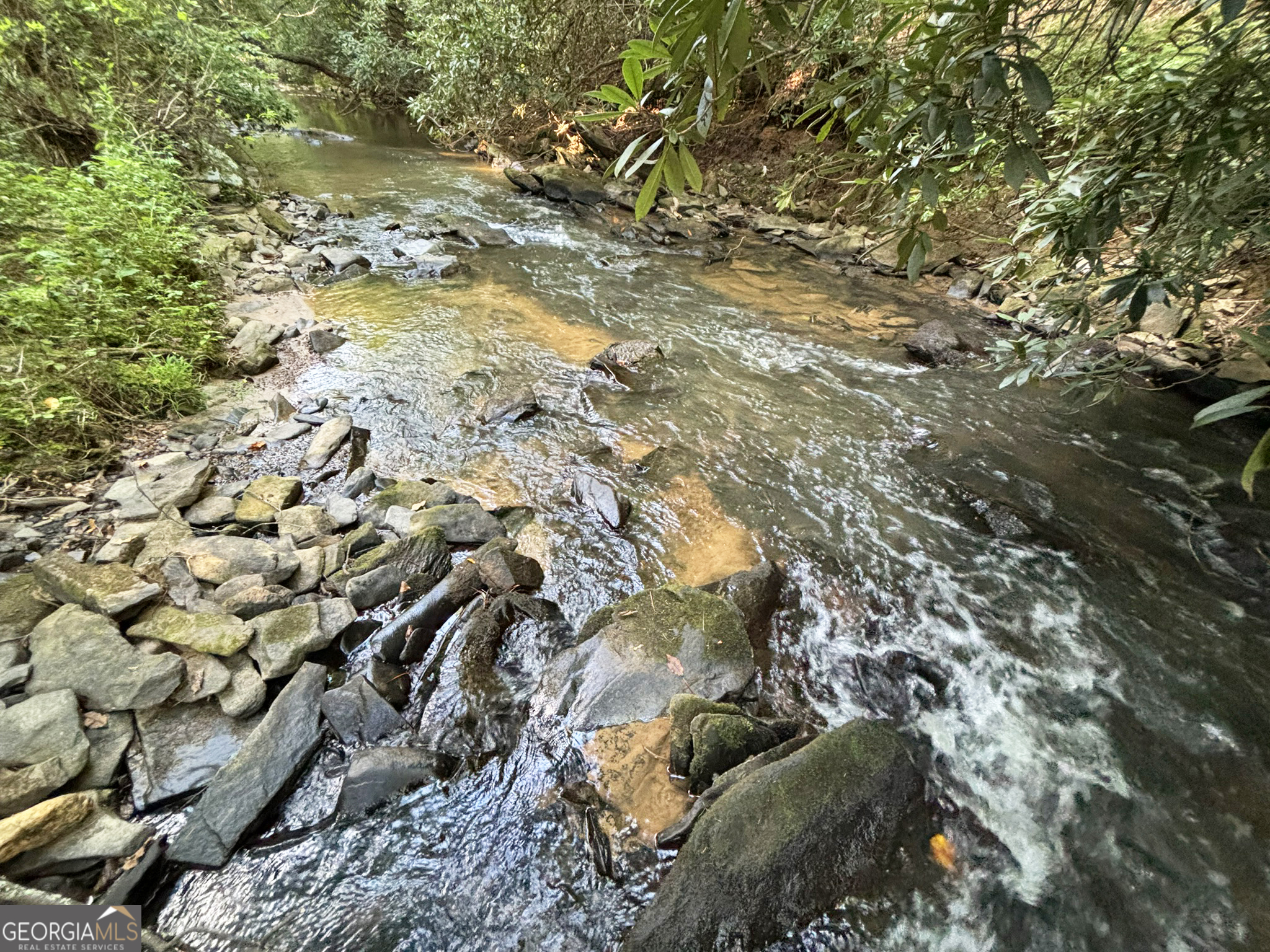 Lot 17 Mt. Springer Road Property Photo 1