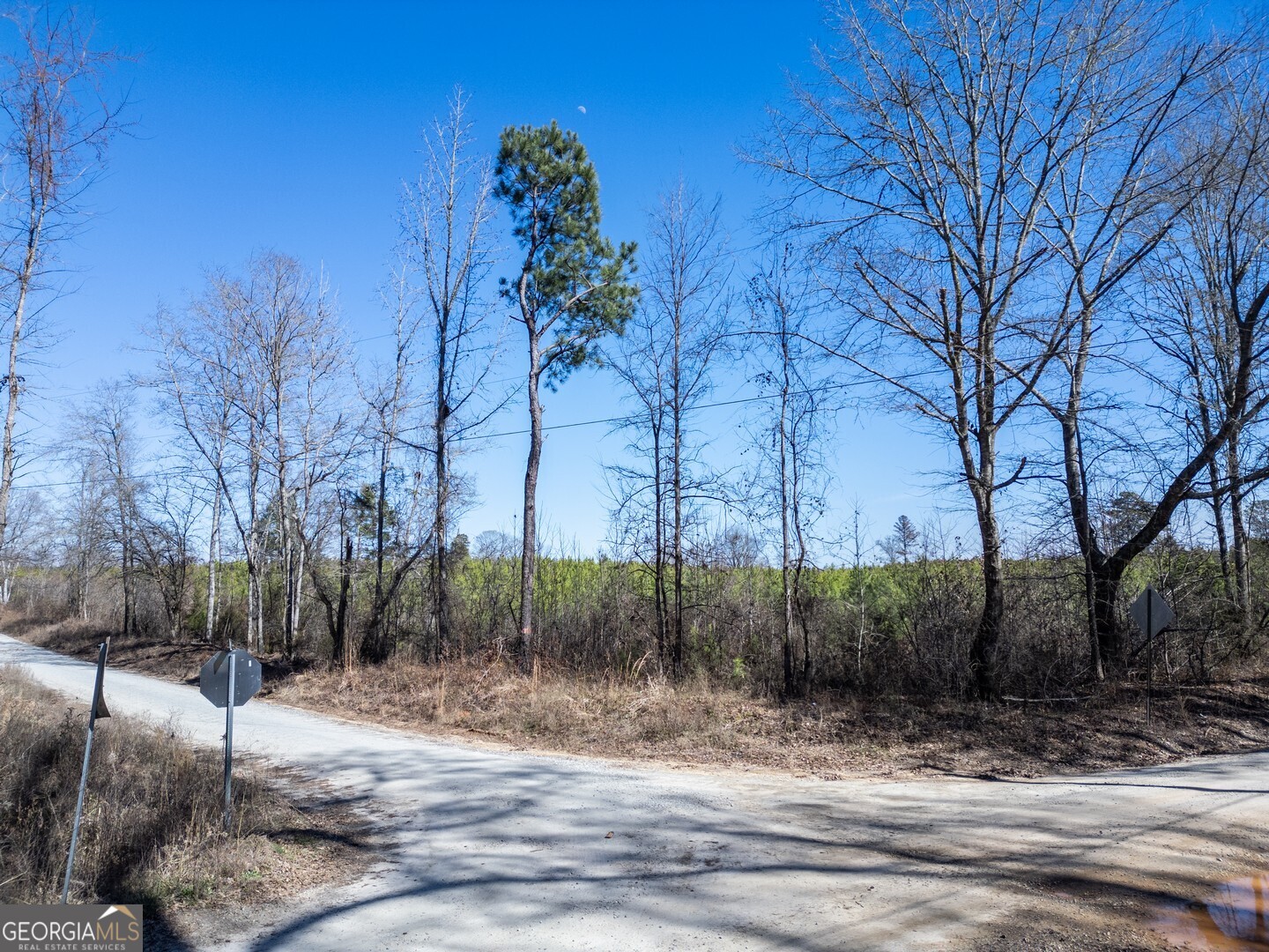 0 Millen Road #19 Property Photo 1