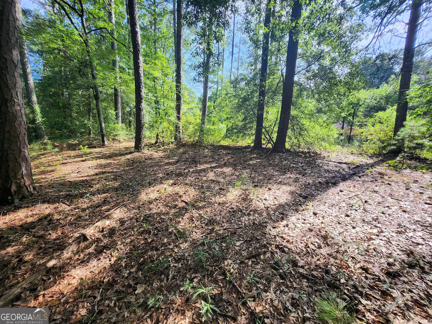 6765 Virlyn B Smith Road Property Photo 42