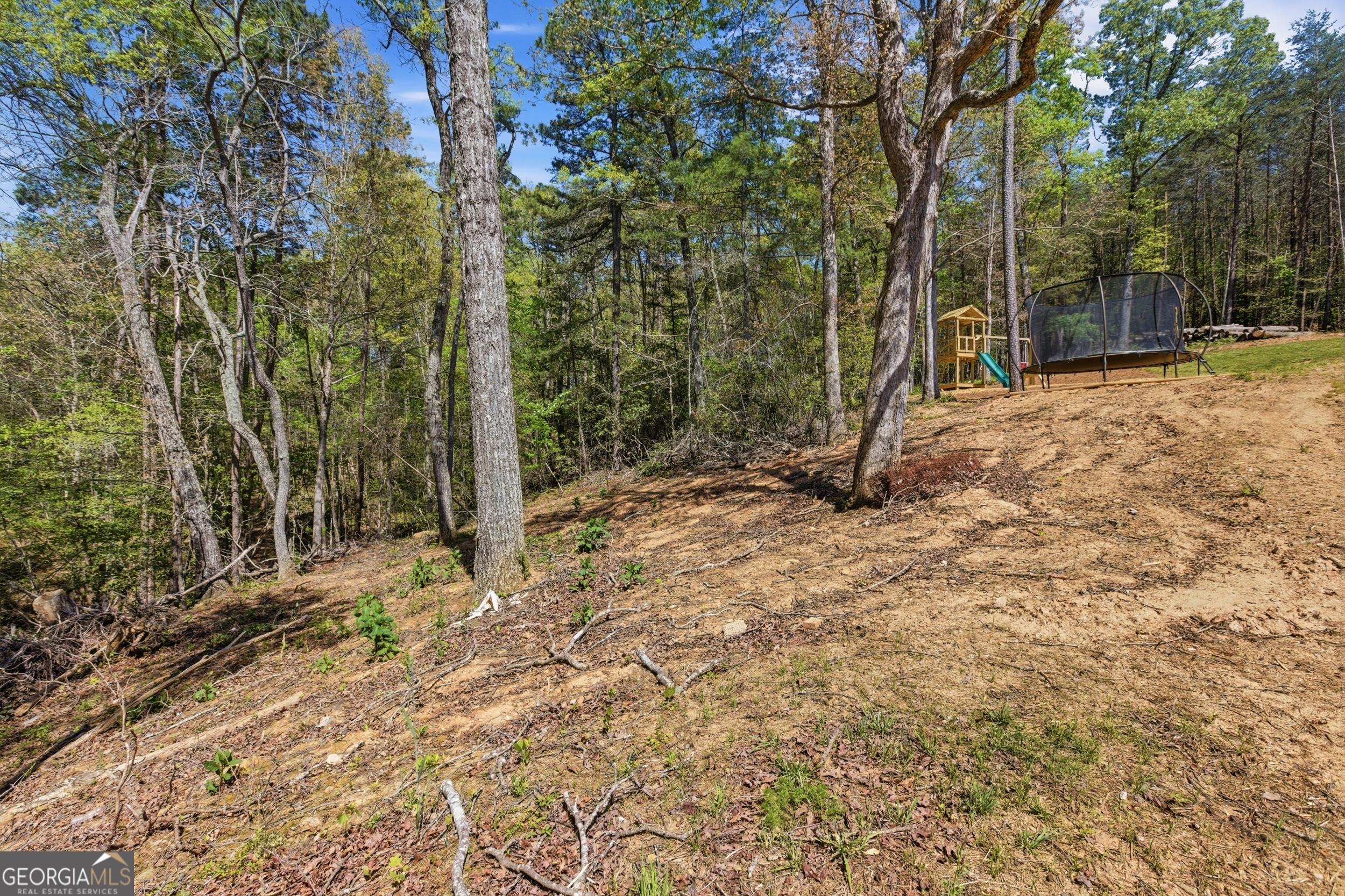 1655 Pardue Mill Road Property Photo 55
