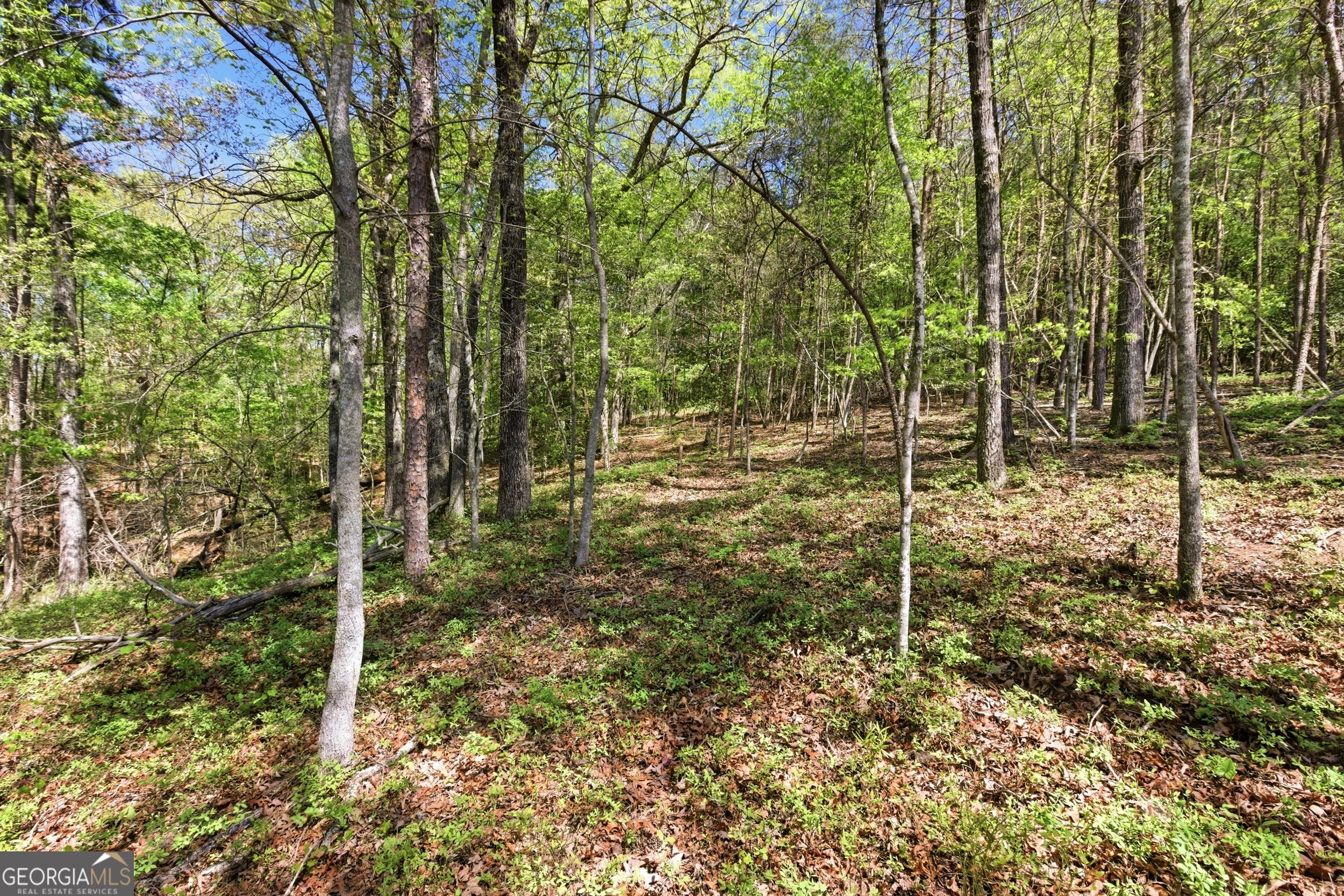 1655 Pardue Mill Road Property Photo 56