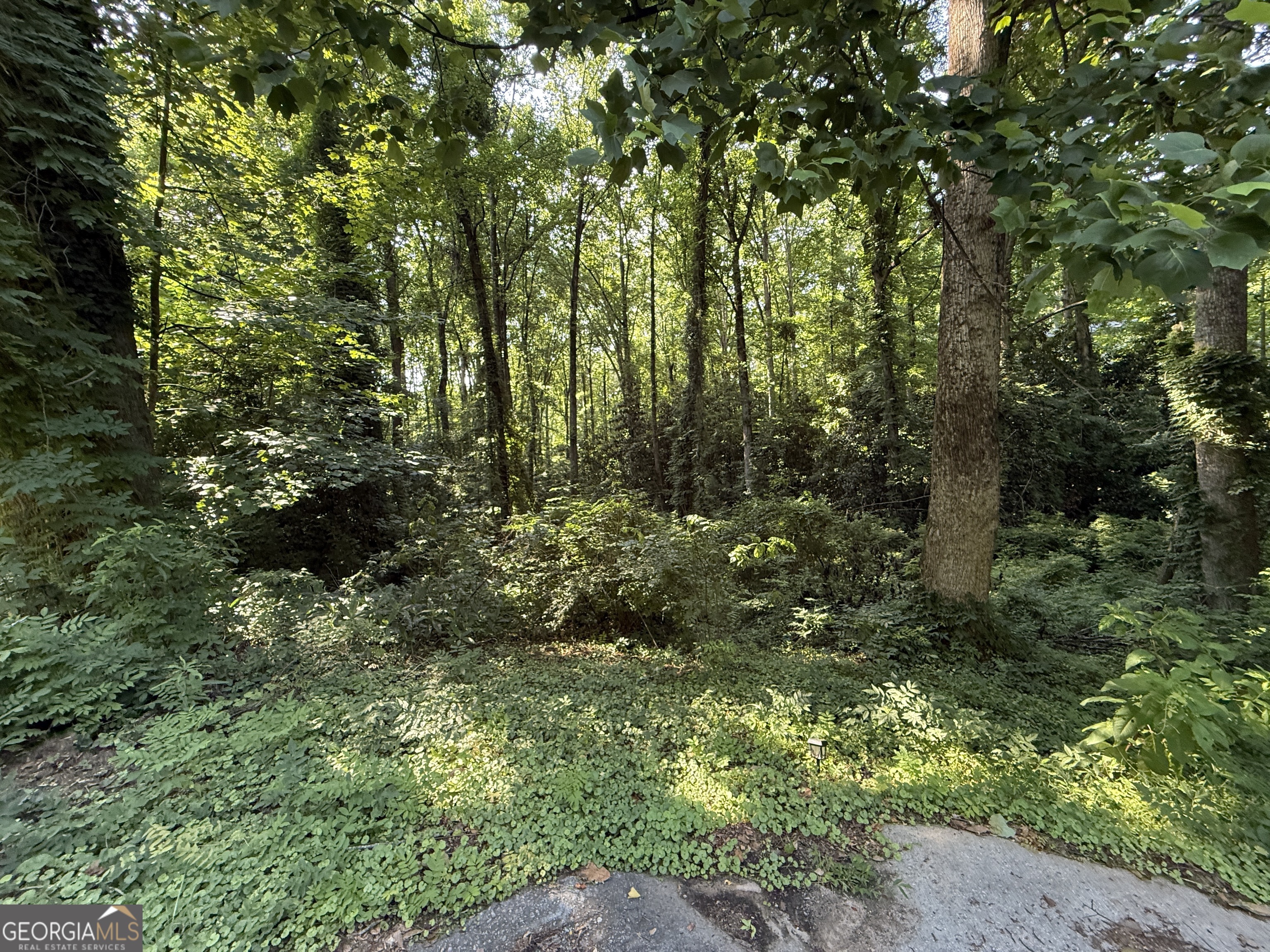 1541 Withmoor Terrace Property Photo 2