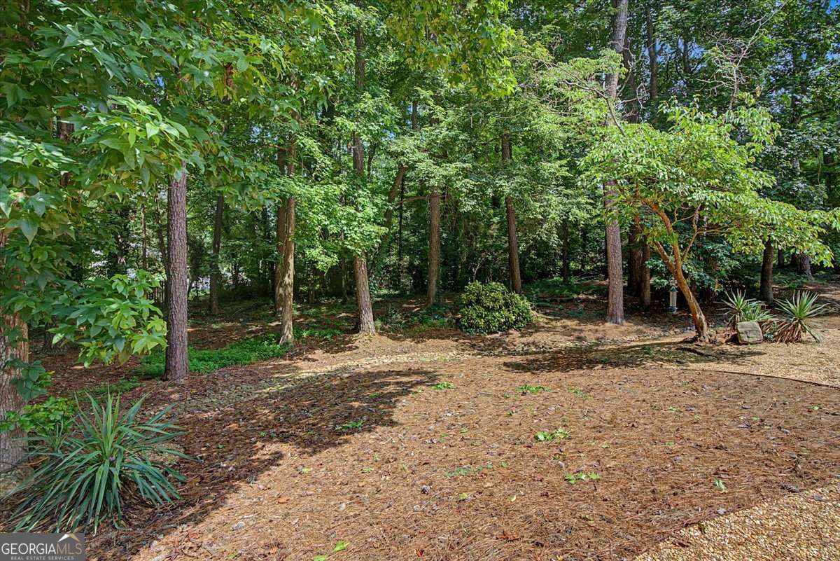4352 Deerbrook Way Property Photo 7