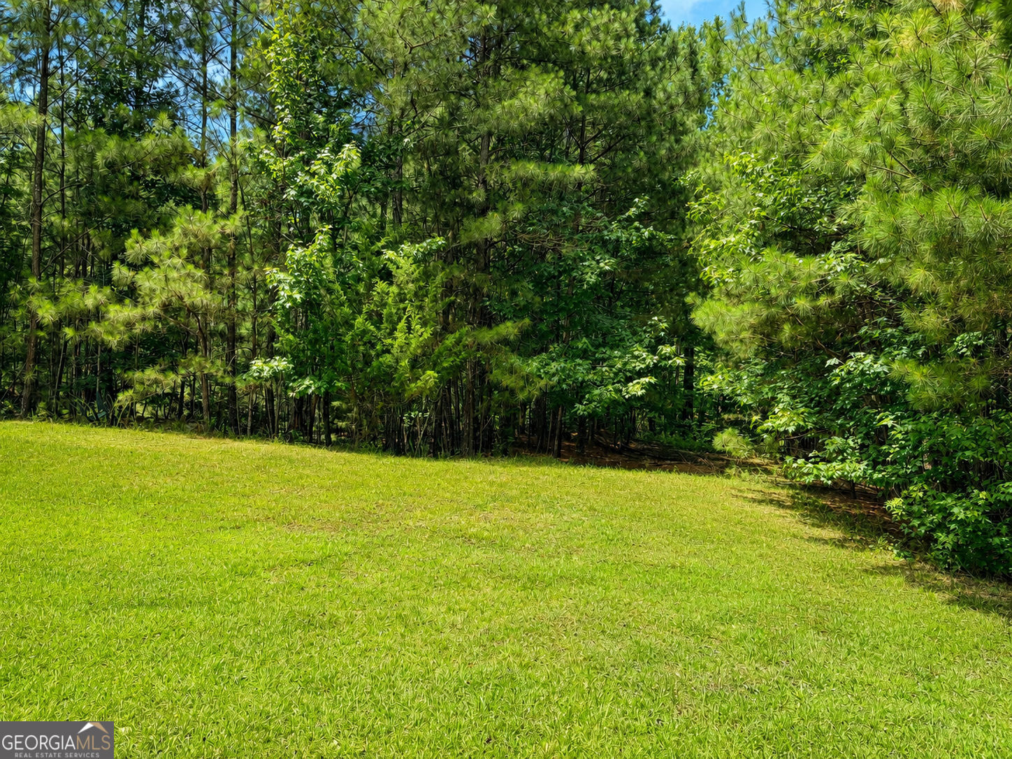 30 Cornish Trace Drive Property Photo 3