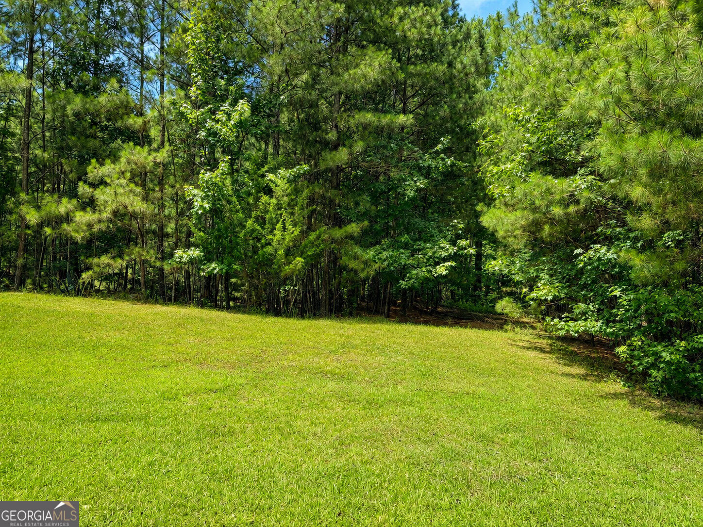 30 Cornish Trace Drive Property Photo 3