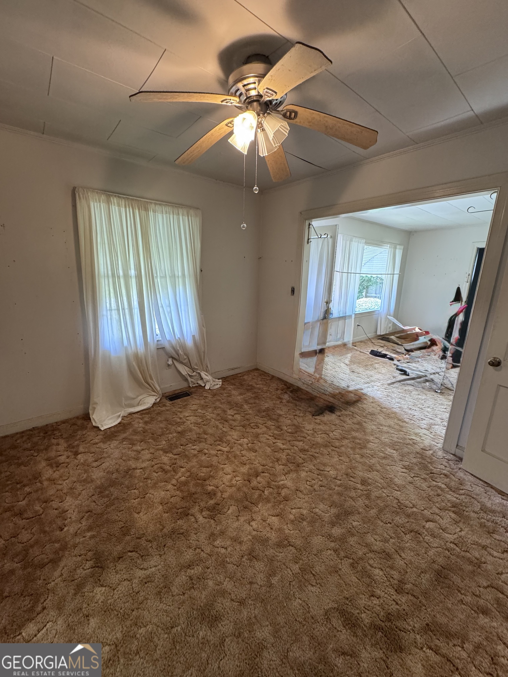 209 Vernon Street Property Photo 11