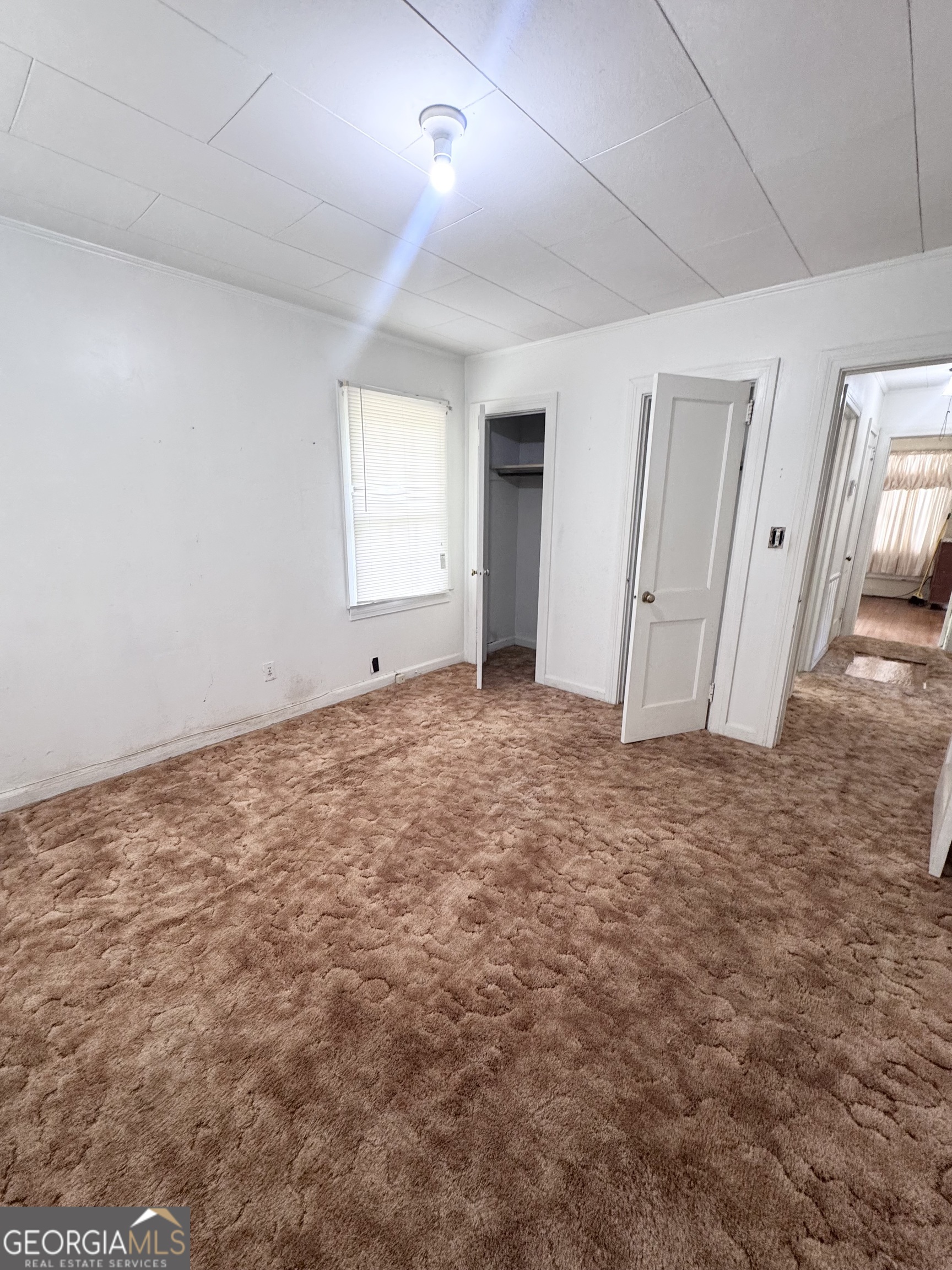 209 Vernon Street Property Photo 19