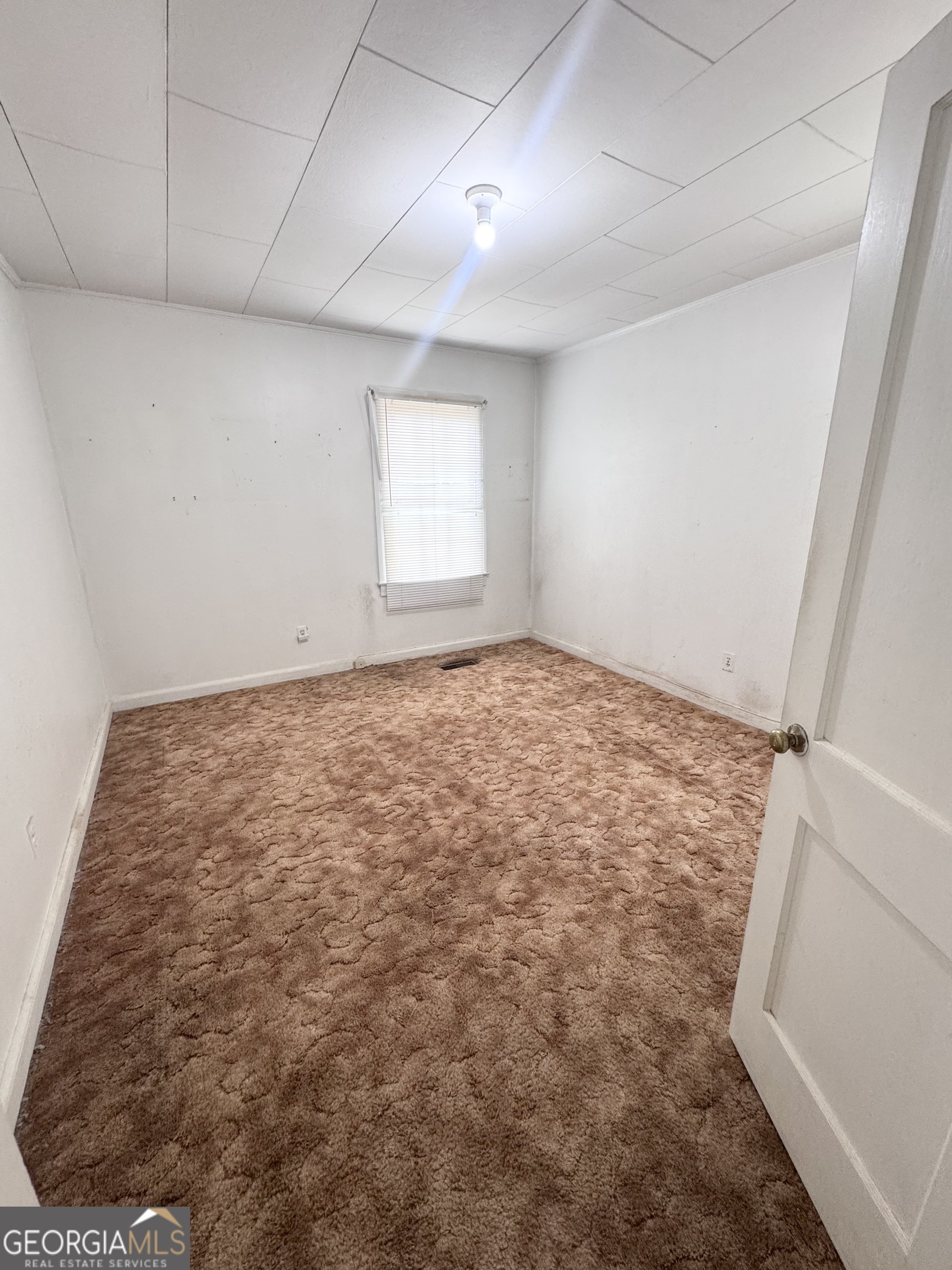 209 Vernon Street Property Photo 20