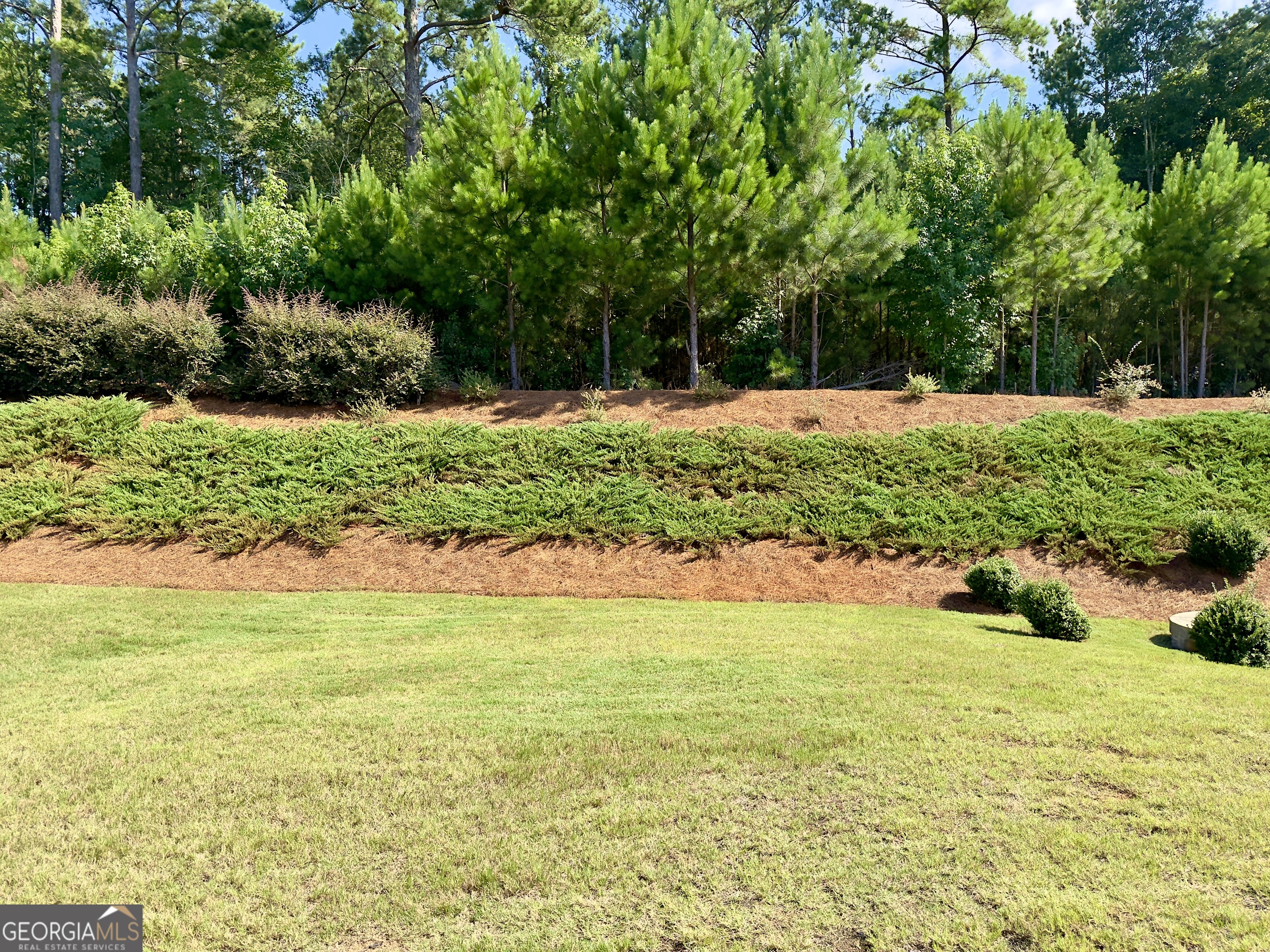 313 Duplin Drive Property Photo 8