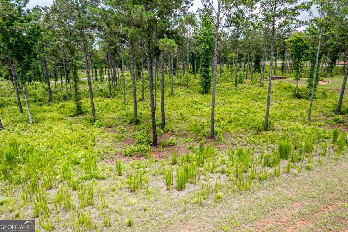 206 Whispering Ridge Property Photo 3