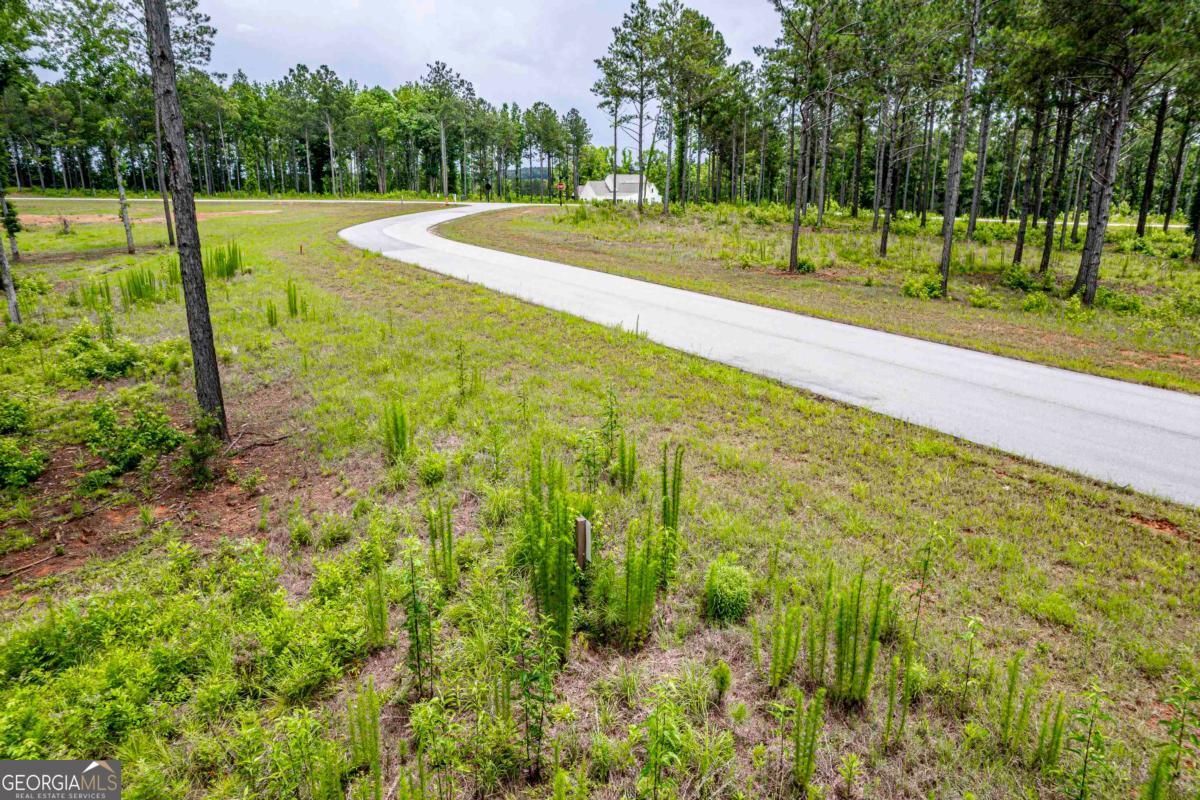 206 Whispering Ridge Property Photo 4