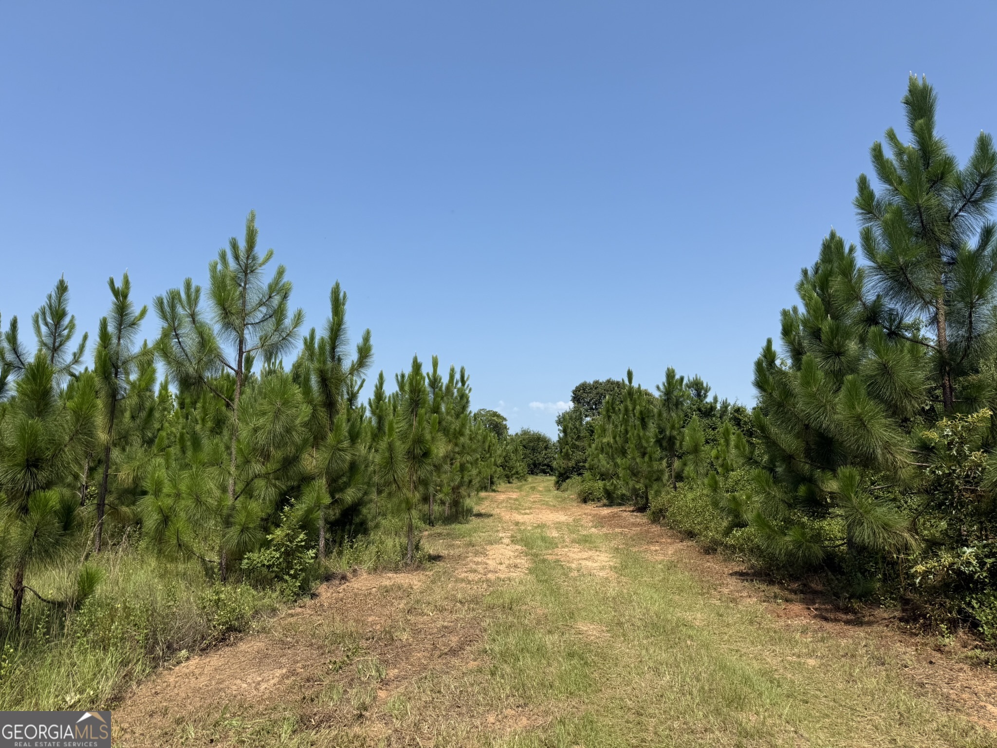 002 Barge Road Property Photo 3