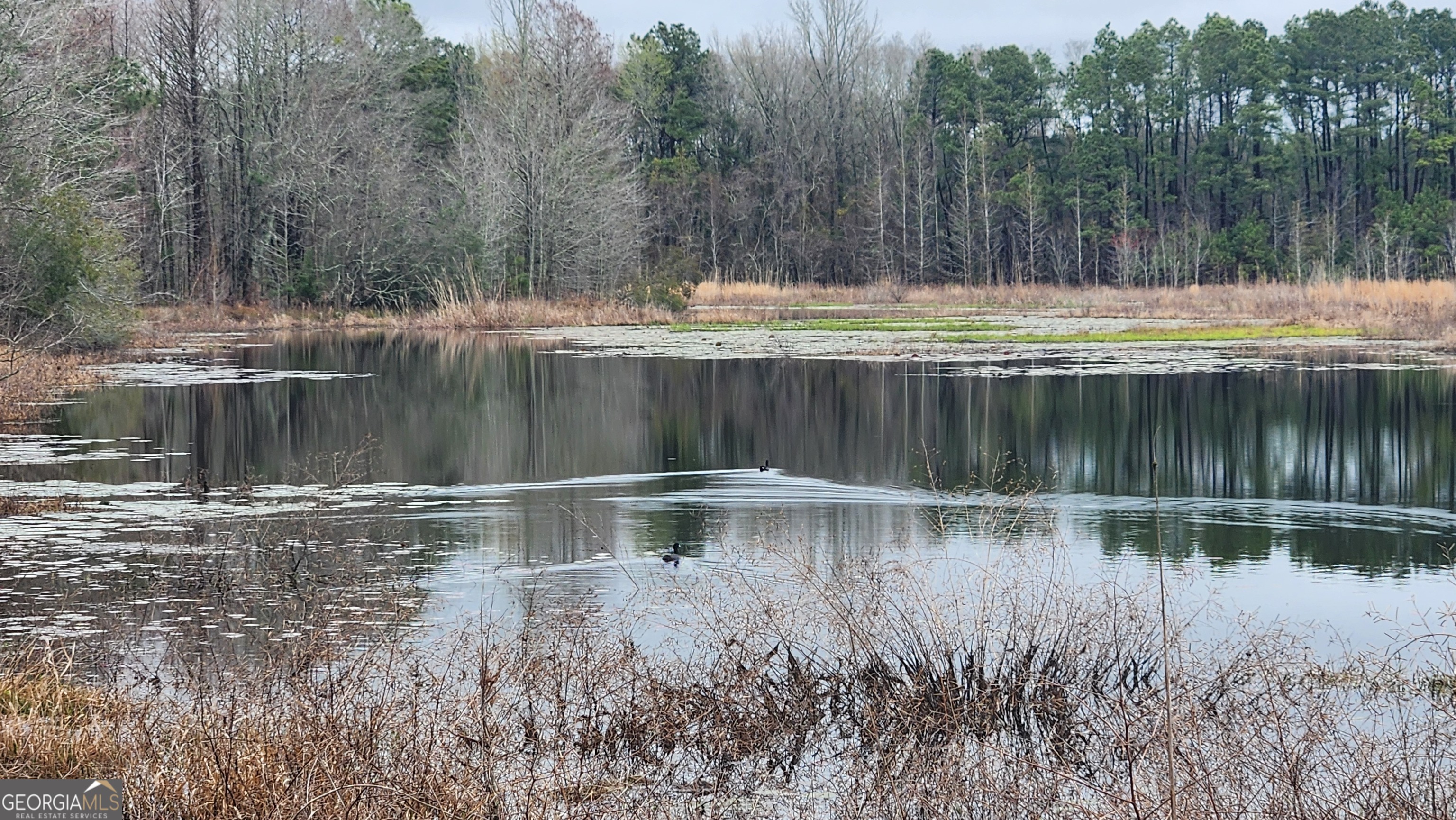 2625 Hartford Lake Road Property Photo 9