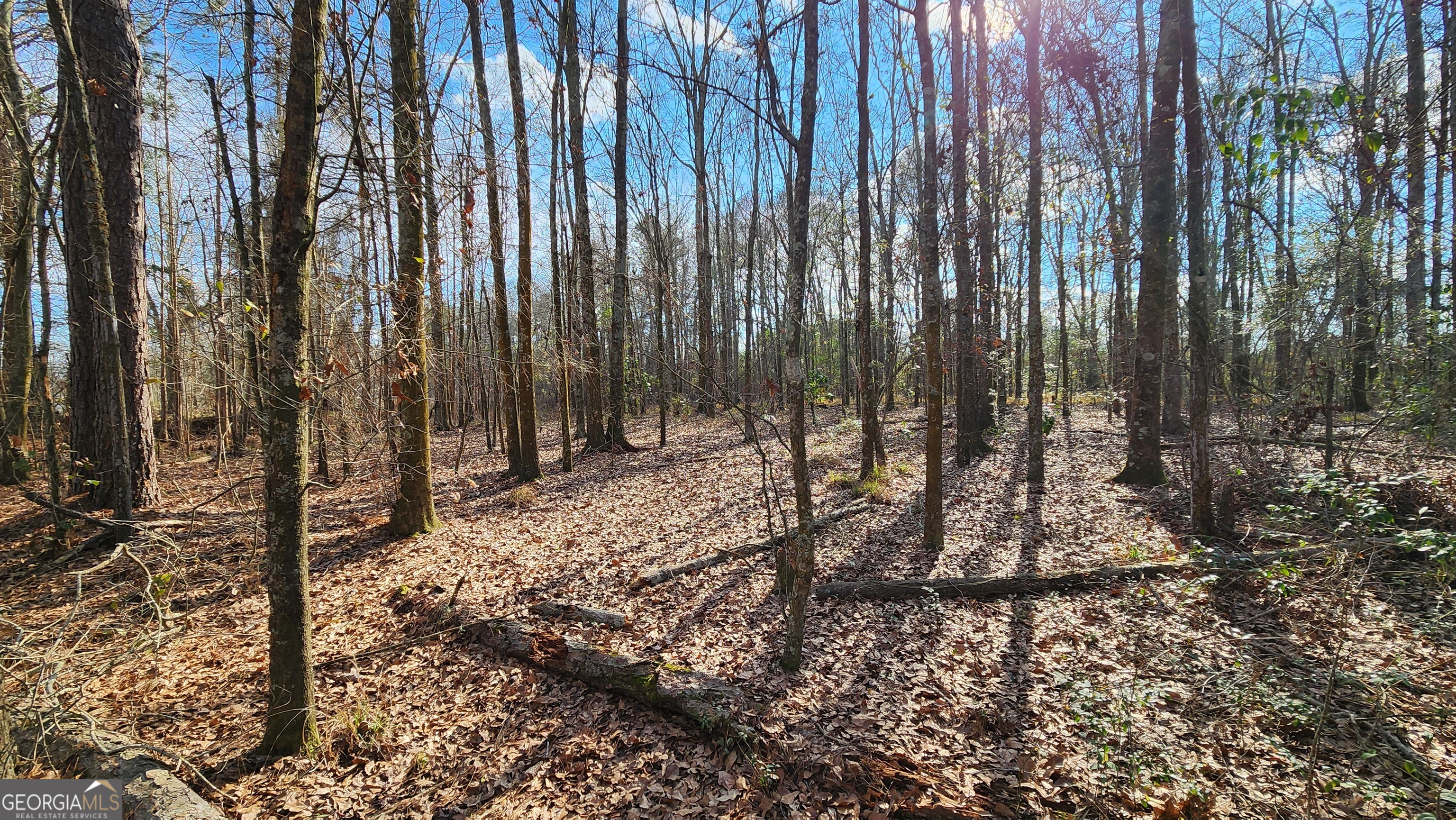 2625 Hartford Lake Road Property Photo 17
