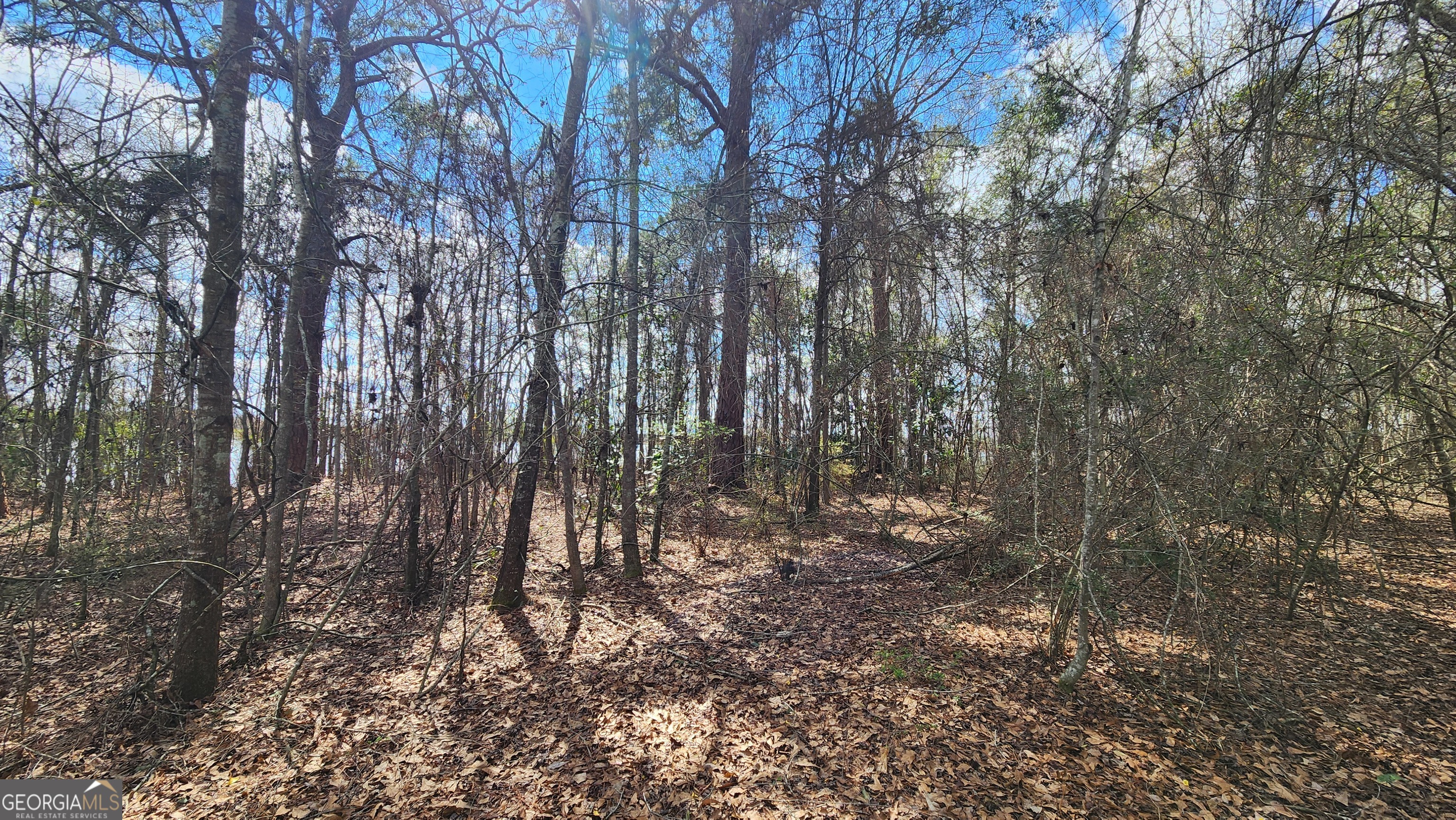 2625 Hartford Lake Road Property Photo 54