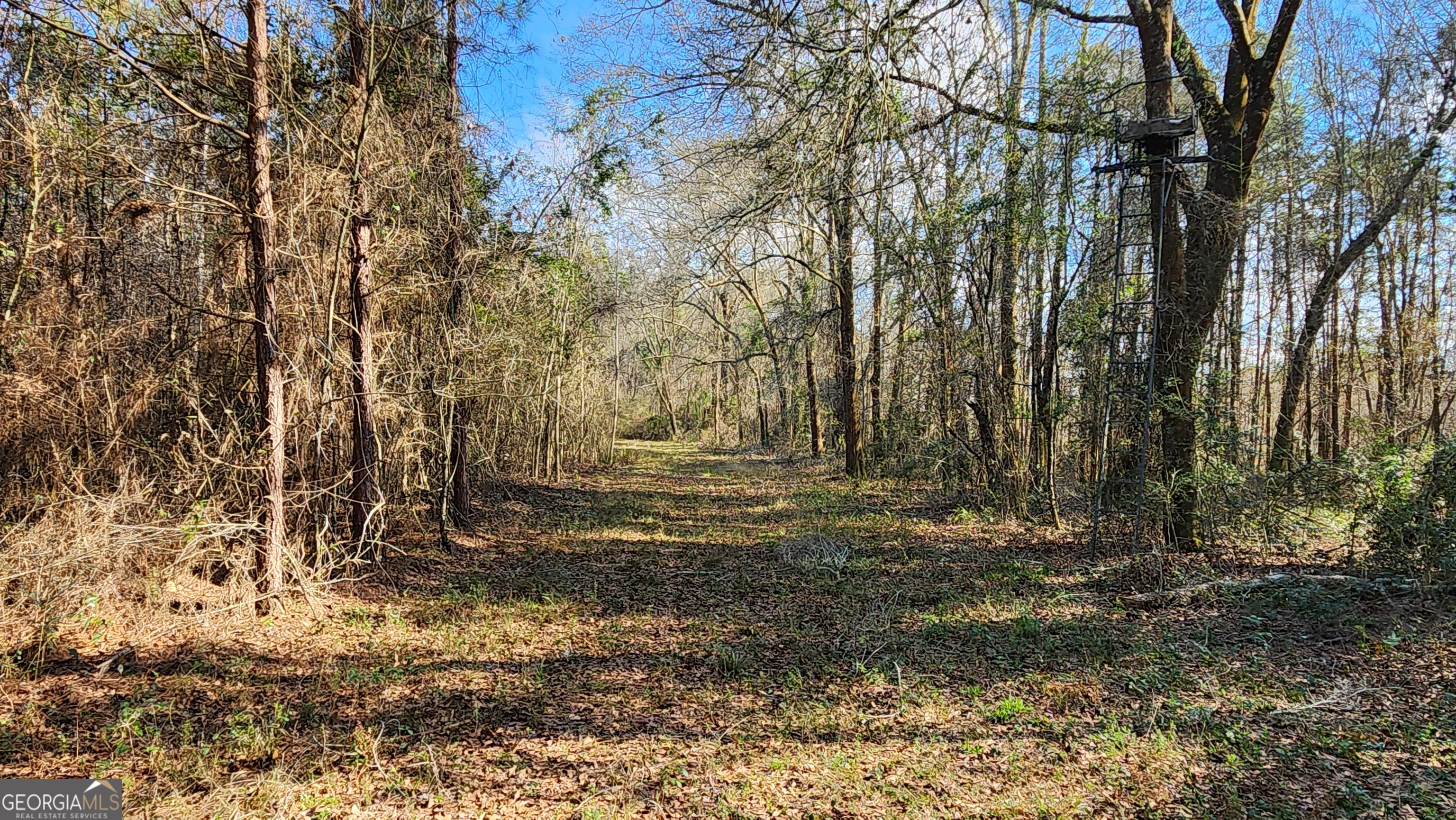 2625 Hartford Lake Road Property Photo 55