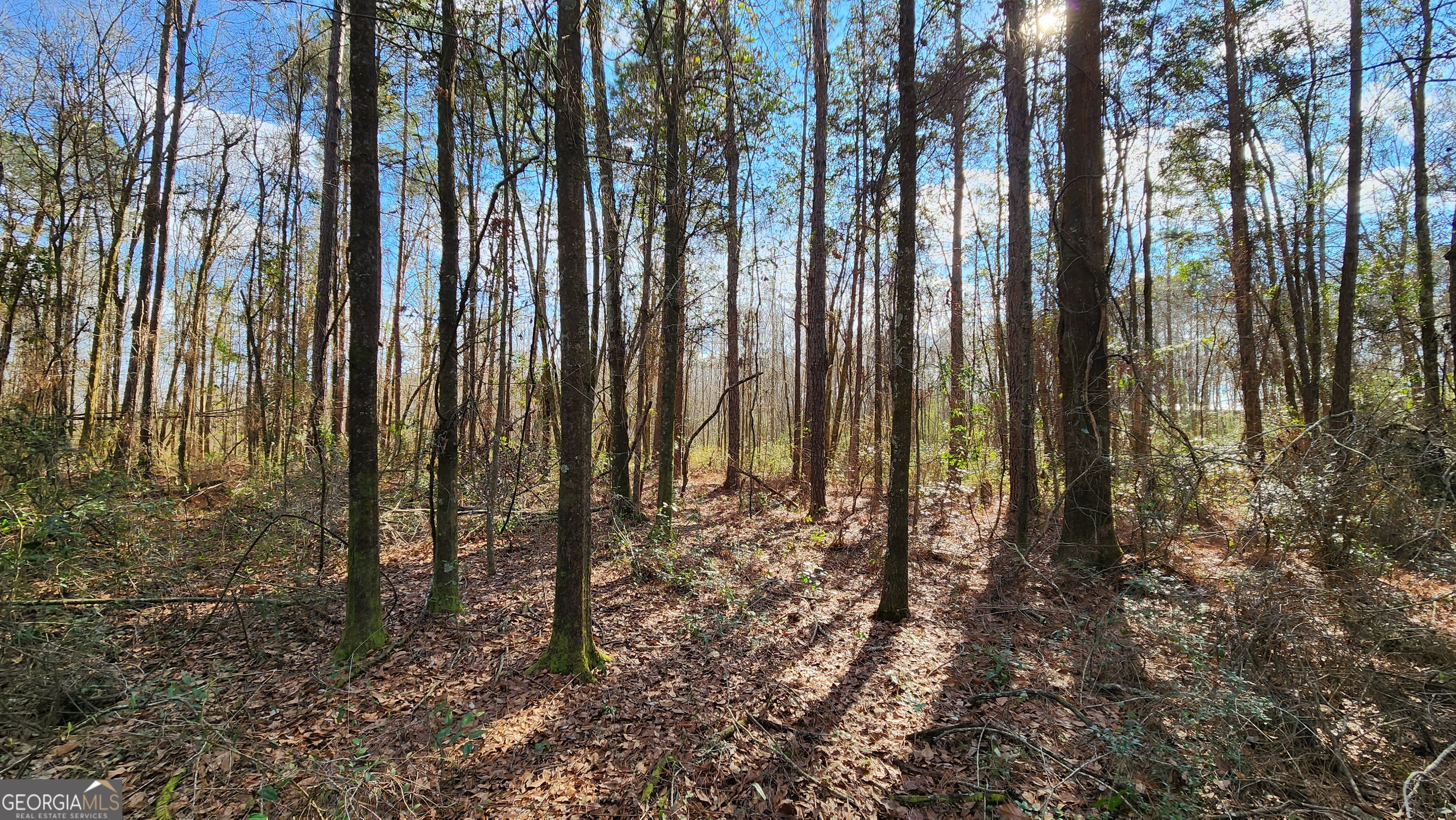 2625 Hartford Lake Road Property Photo 56