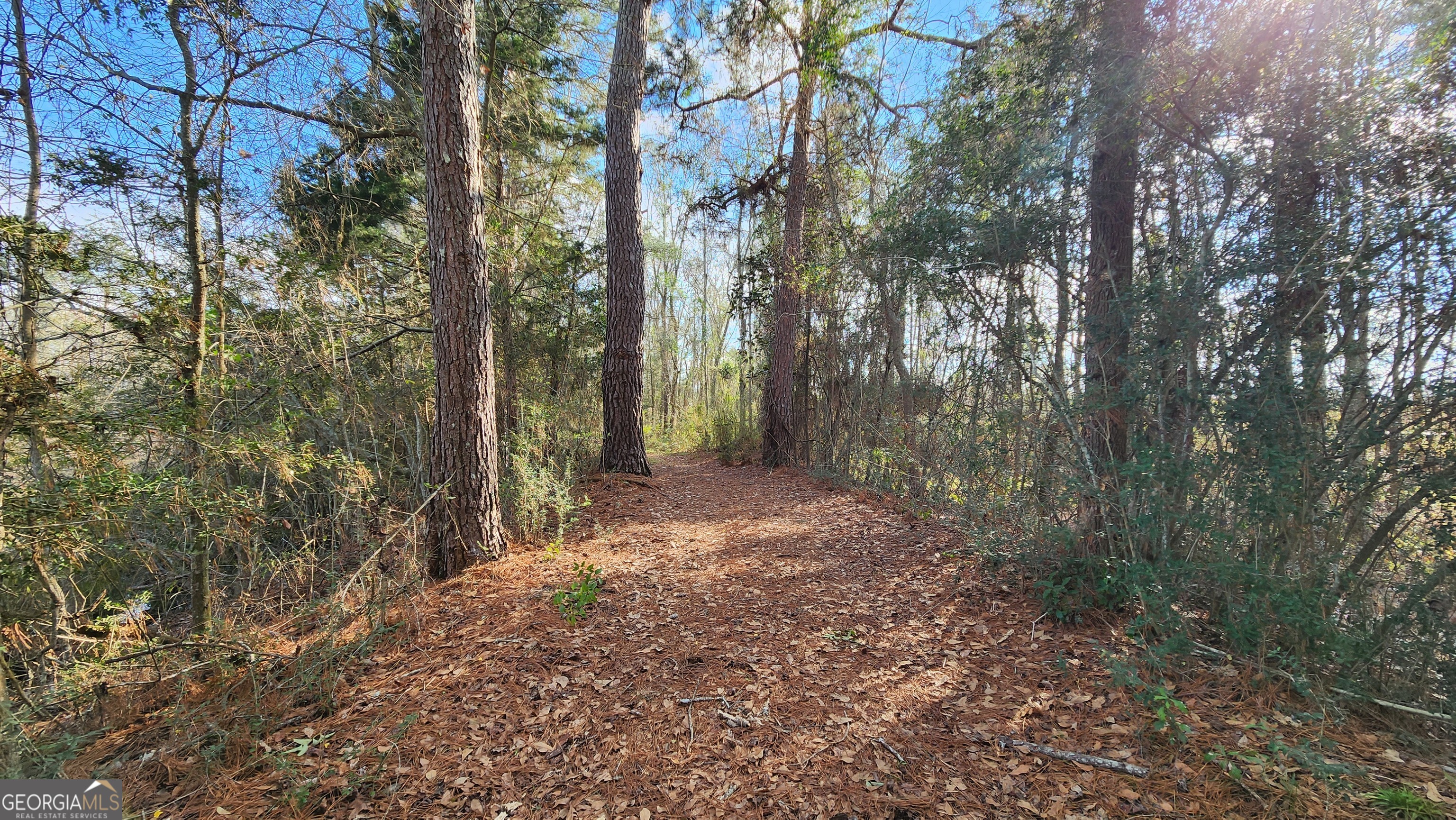 2625 Hartford Lake Road Property Photo 57