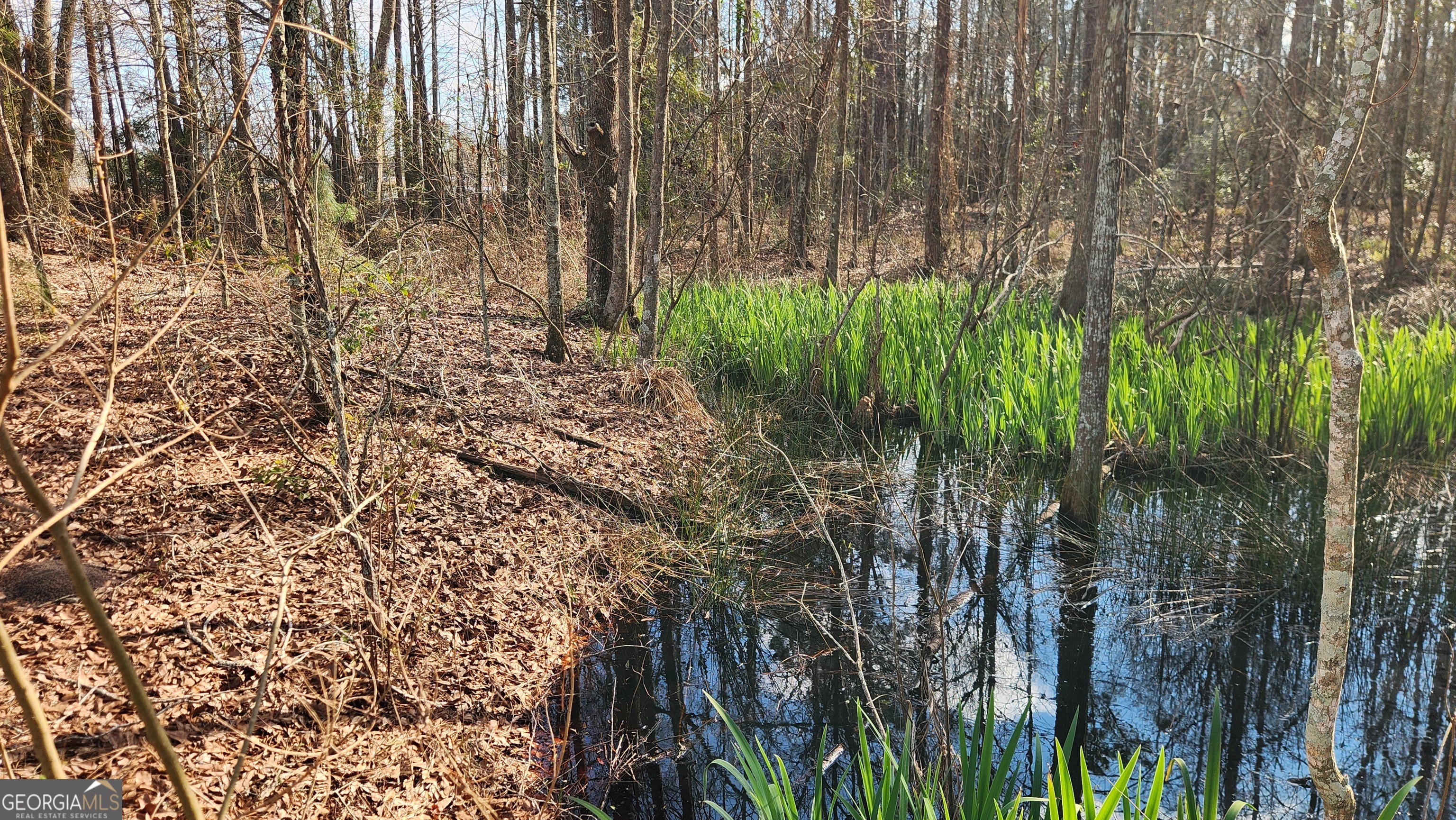 2625 Hartford Lake Road Property Photo 59