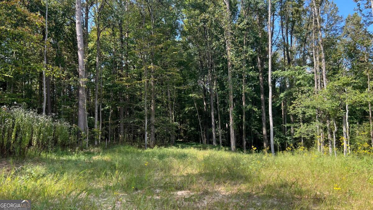 512 Level Creek Road Property Photo 1