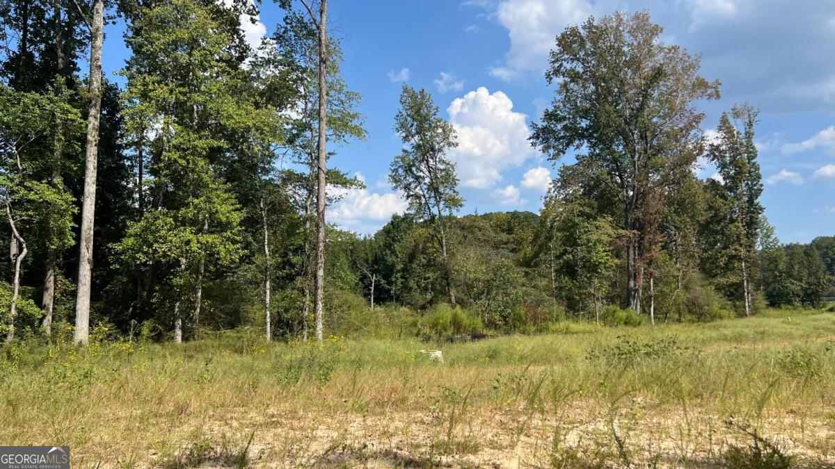 512 Level Creek Road Property Photo 5