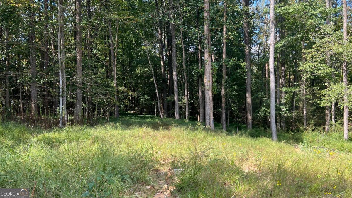 512 Level Creek Road Property Photo 6