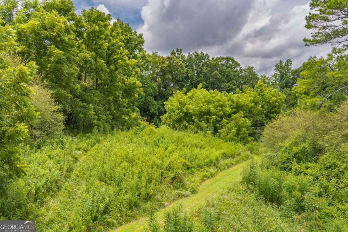 0 Highway 515 N Property Photo 10