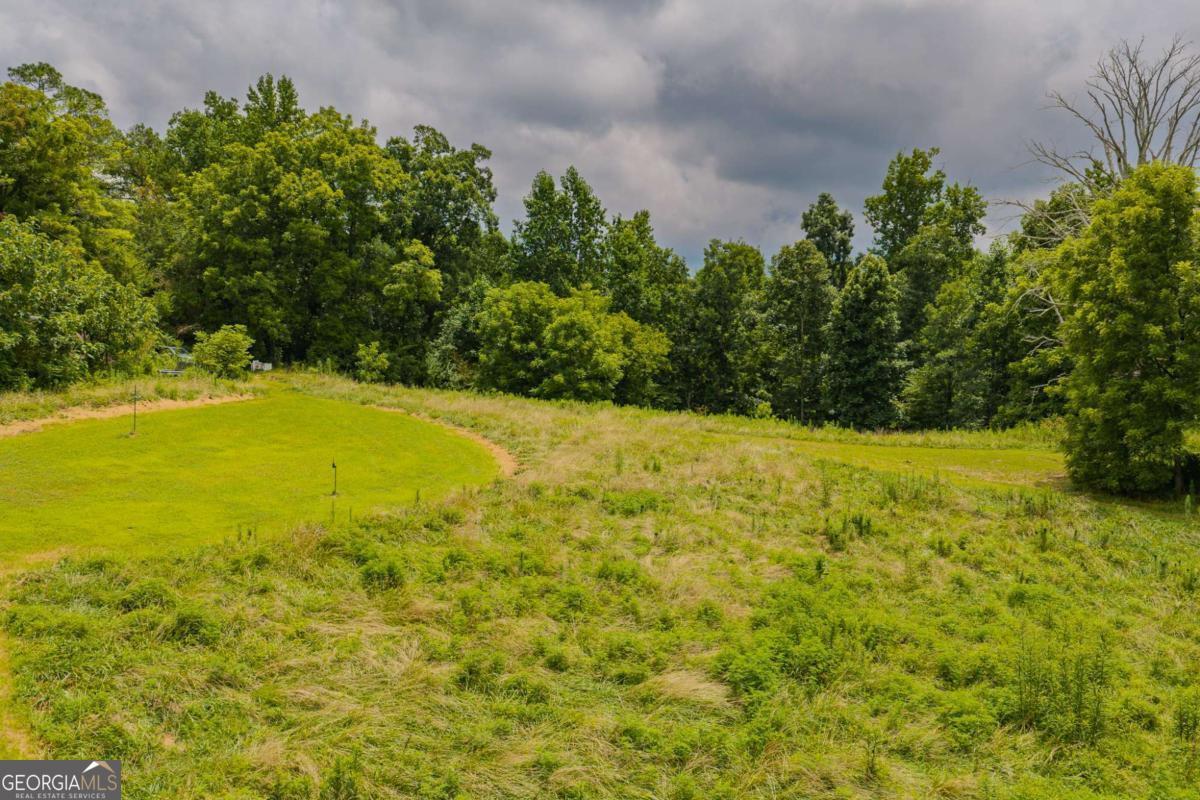 0 Highway 515 N Property Photo 11