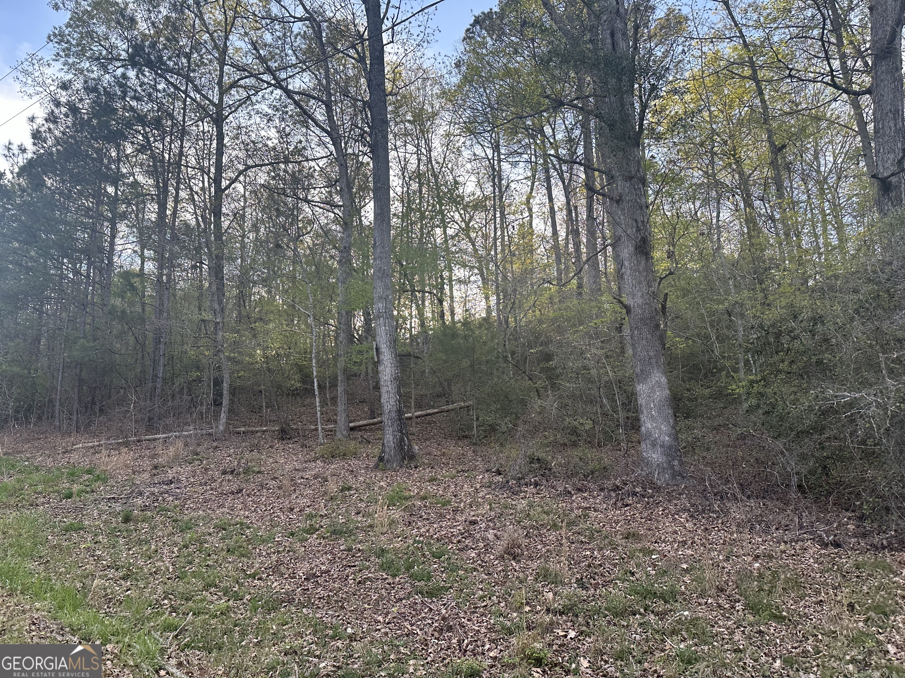 1141 Skipstone Drive