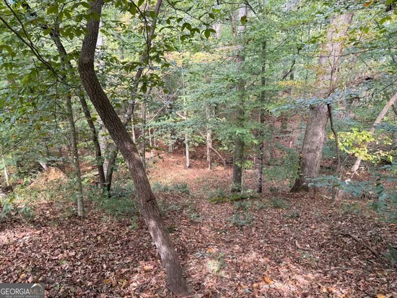 3845 Level Grove Road Property Photo 54