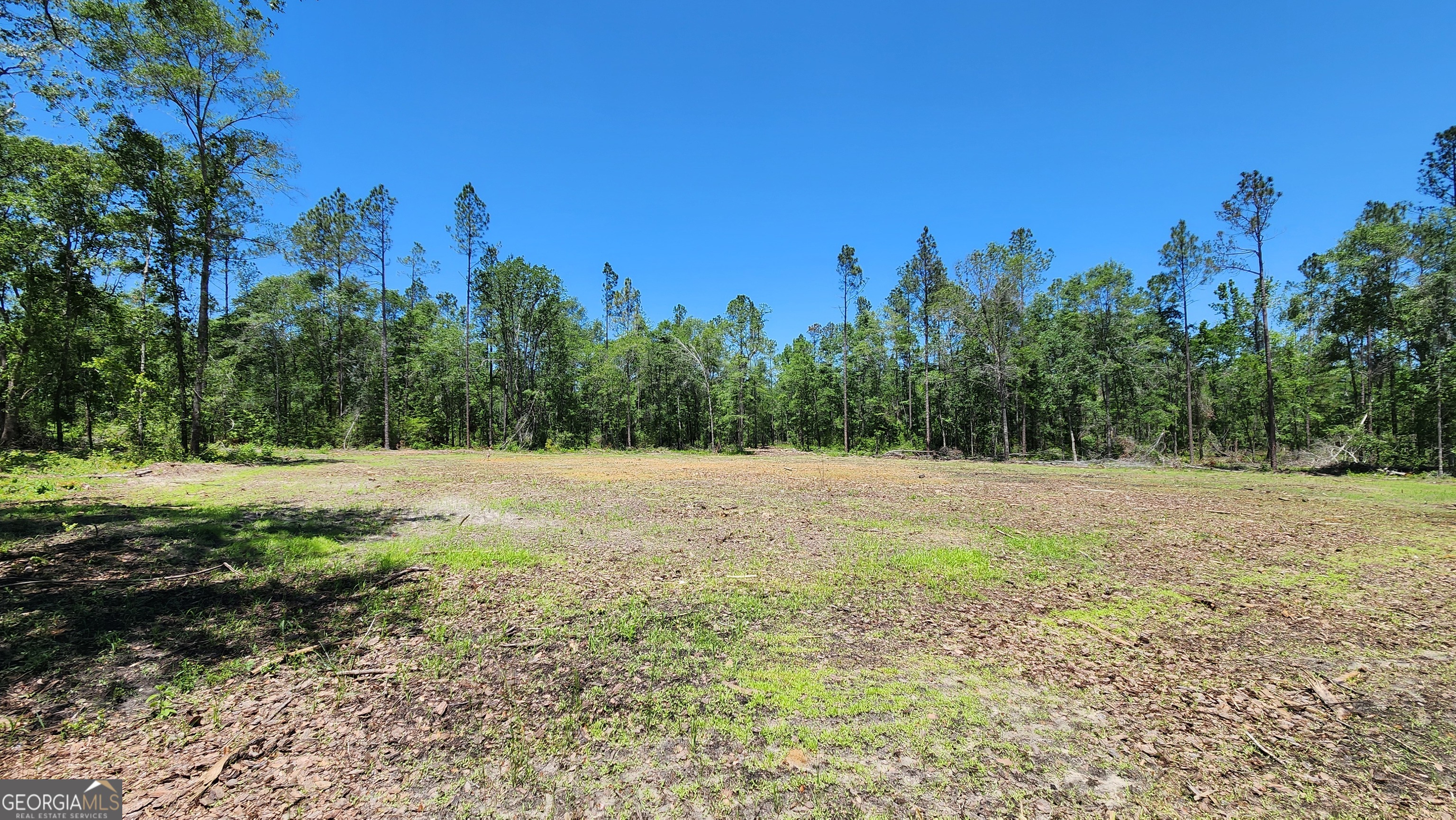 0 Robinson Road Property Photo 13