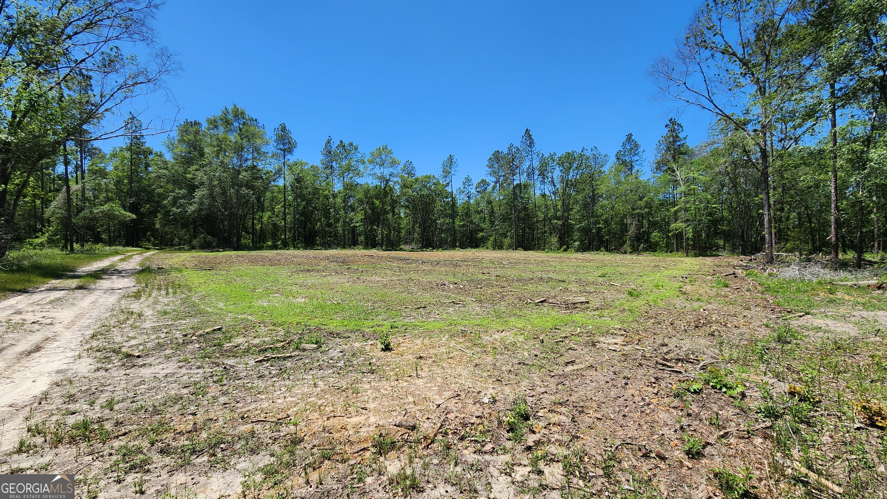 0 Robinson Road Property Photo 14