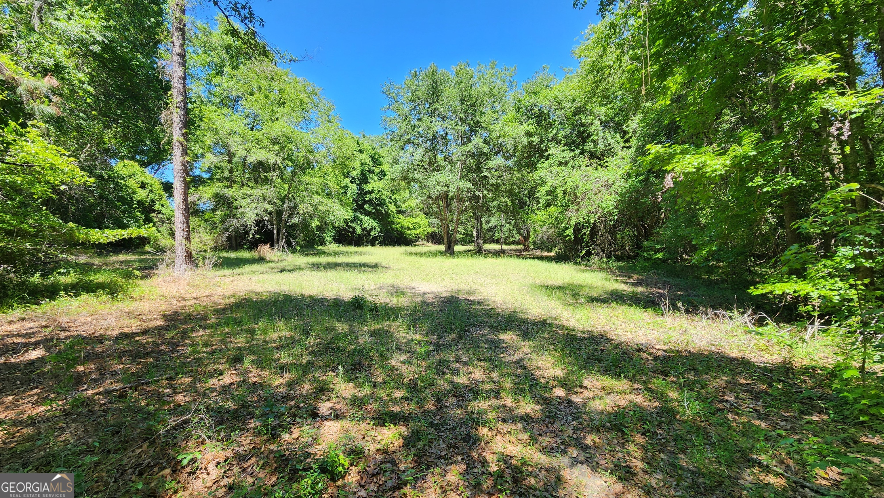 0 Robinson Road Property Photo 19